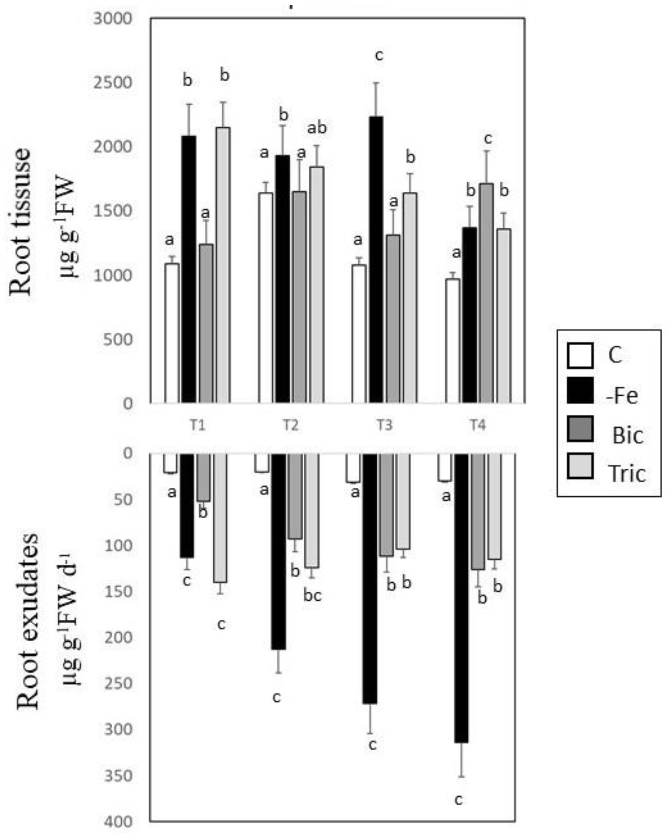 Agronomy 10 01037 g004