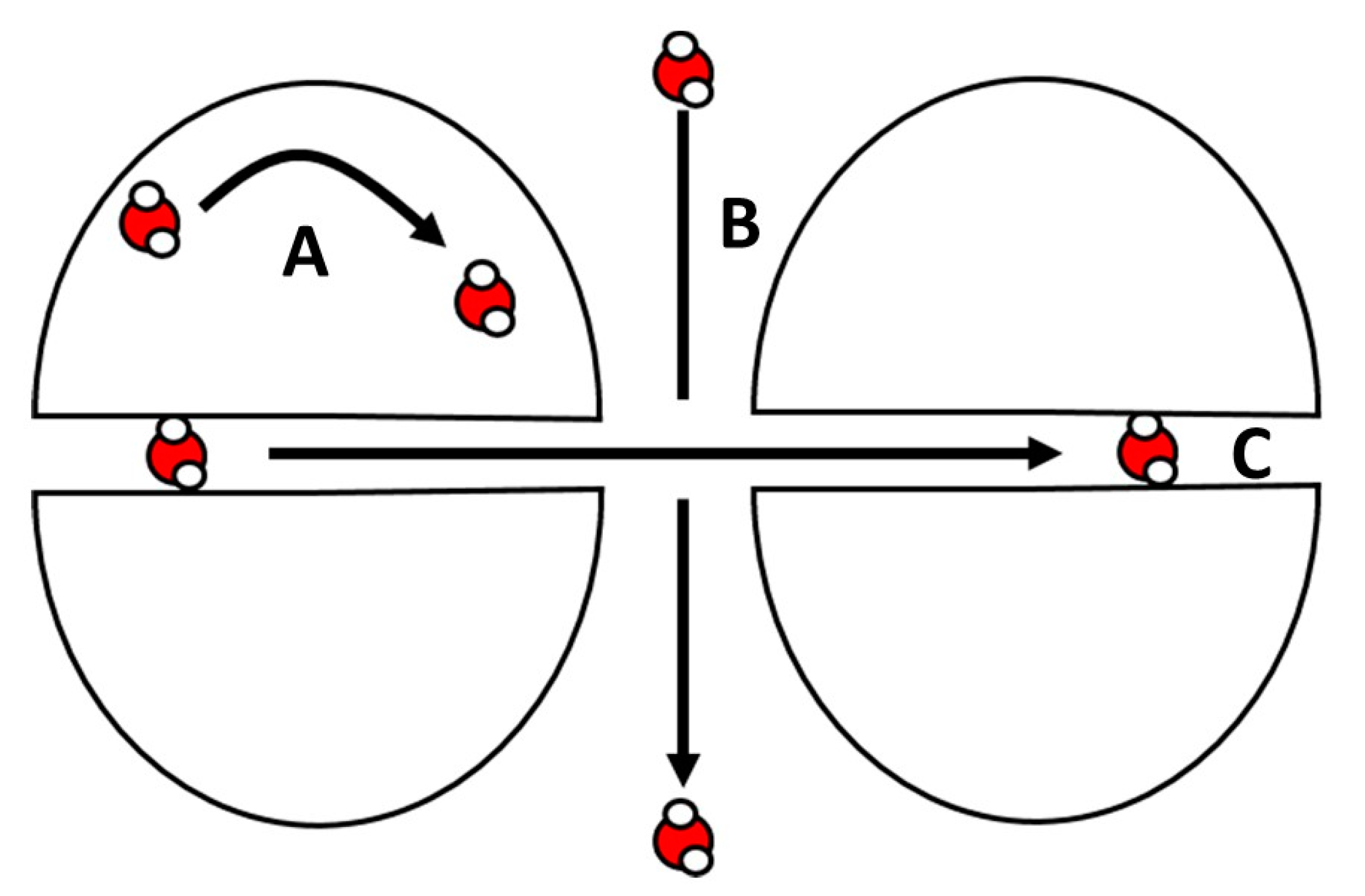 Agronomy 10 01040 g006 Agronomy 10 01040 g006