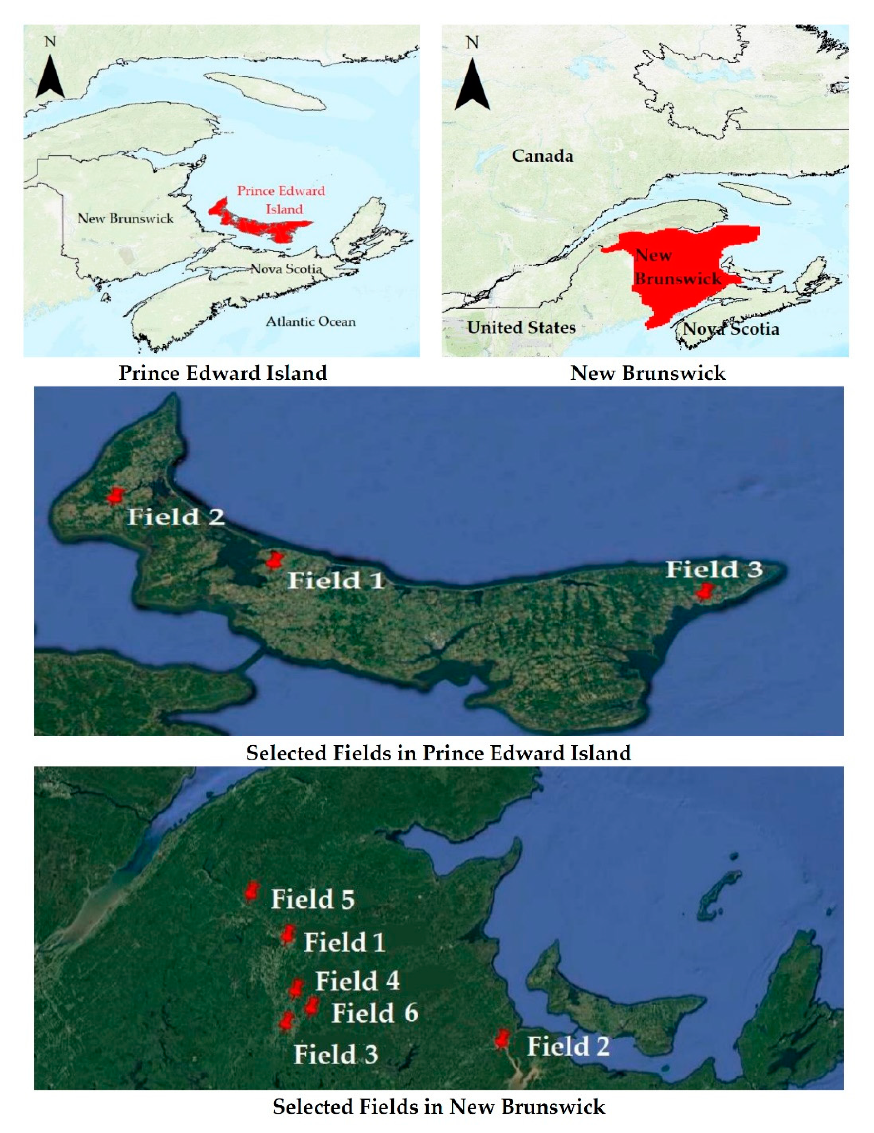 Agronomy 10 01046 g001 Agronomy 10 01046 g001