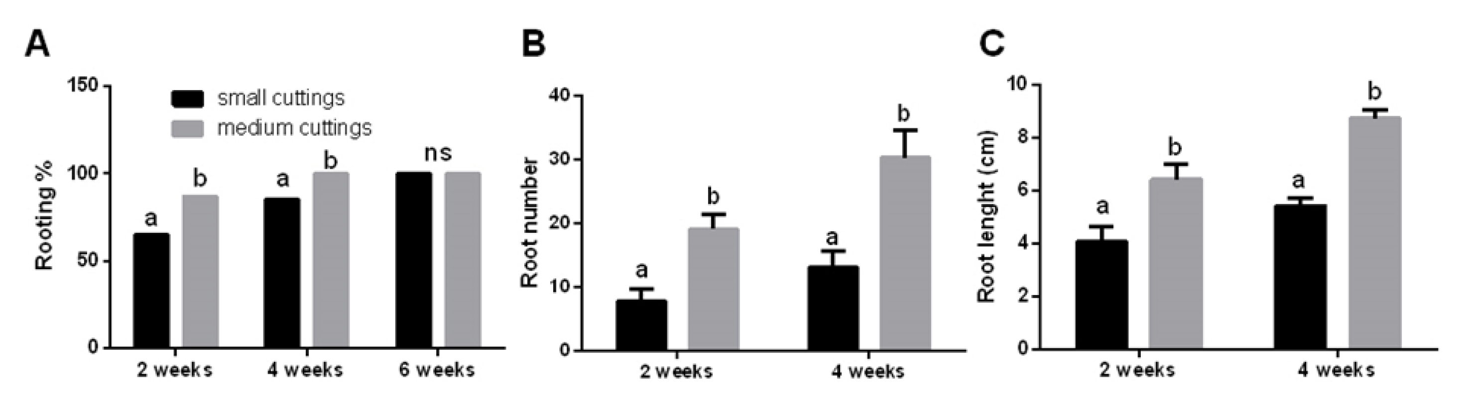 Agronomy 10 01065 g002