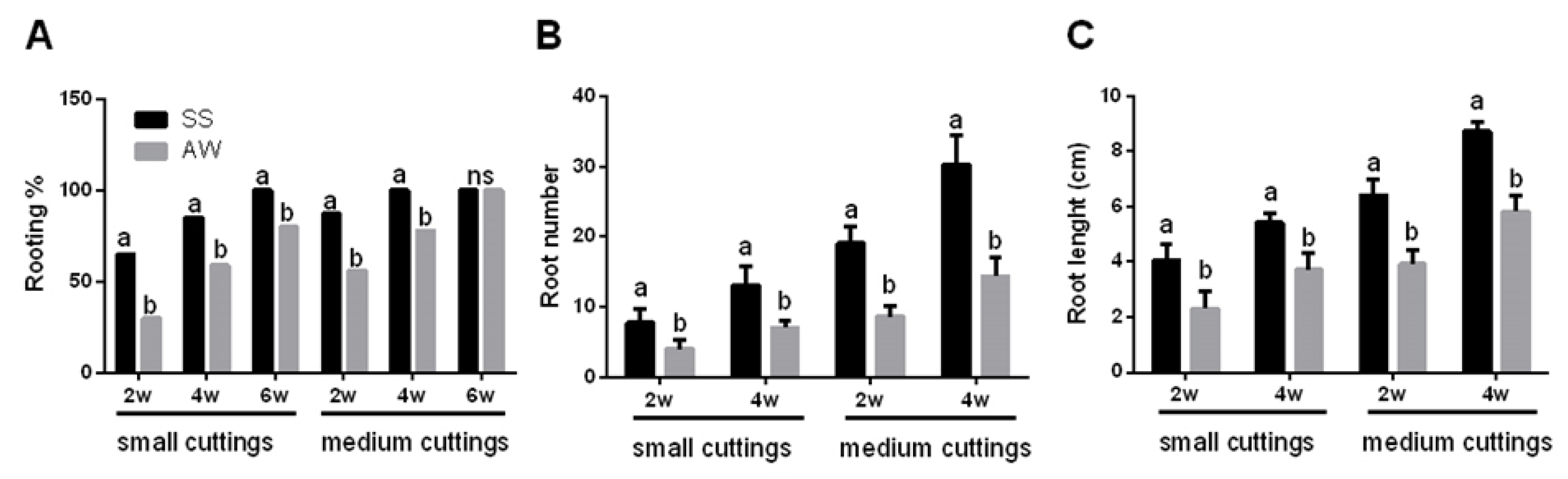 Agronomy 10 01065 g003