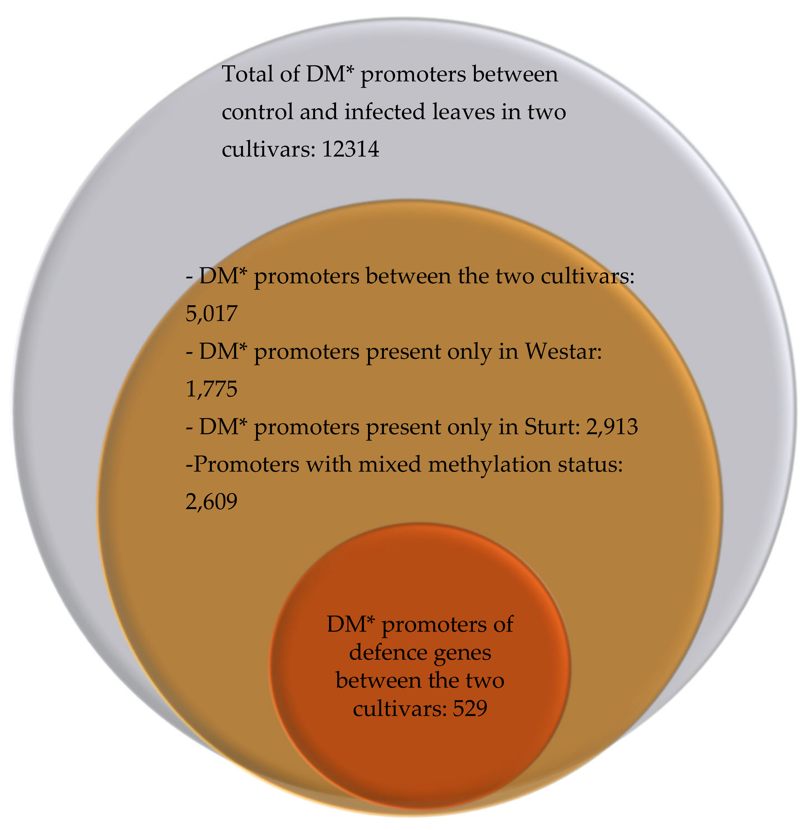 Agronomy 10 01072 g002