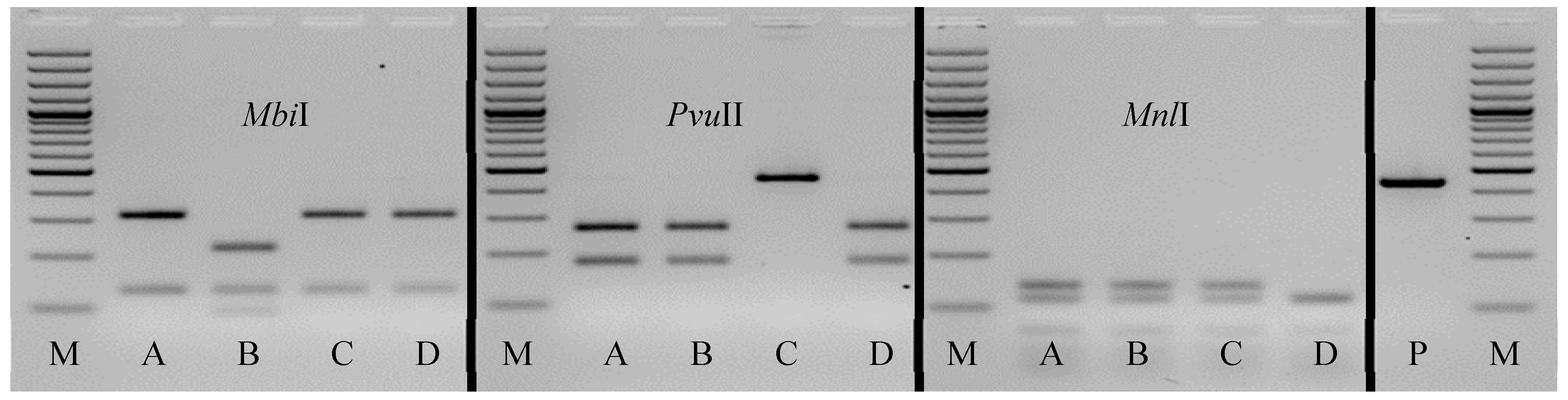 Agronomy 10 01075 g002 Agronomy 10 01075 g002