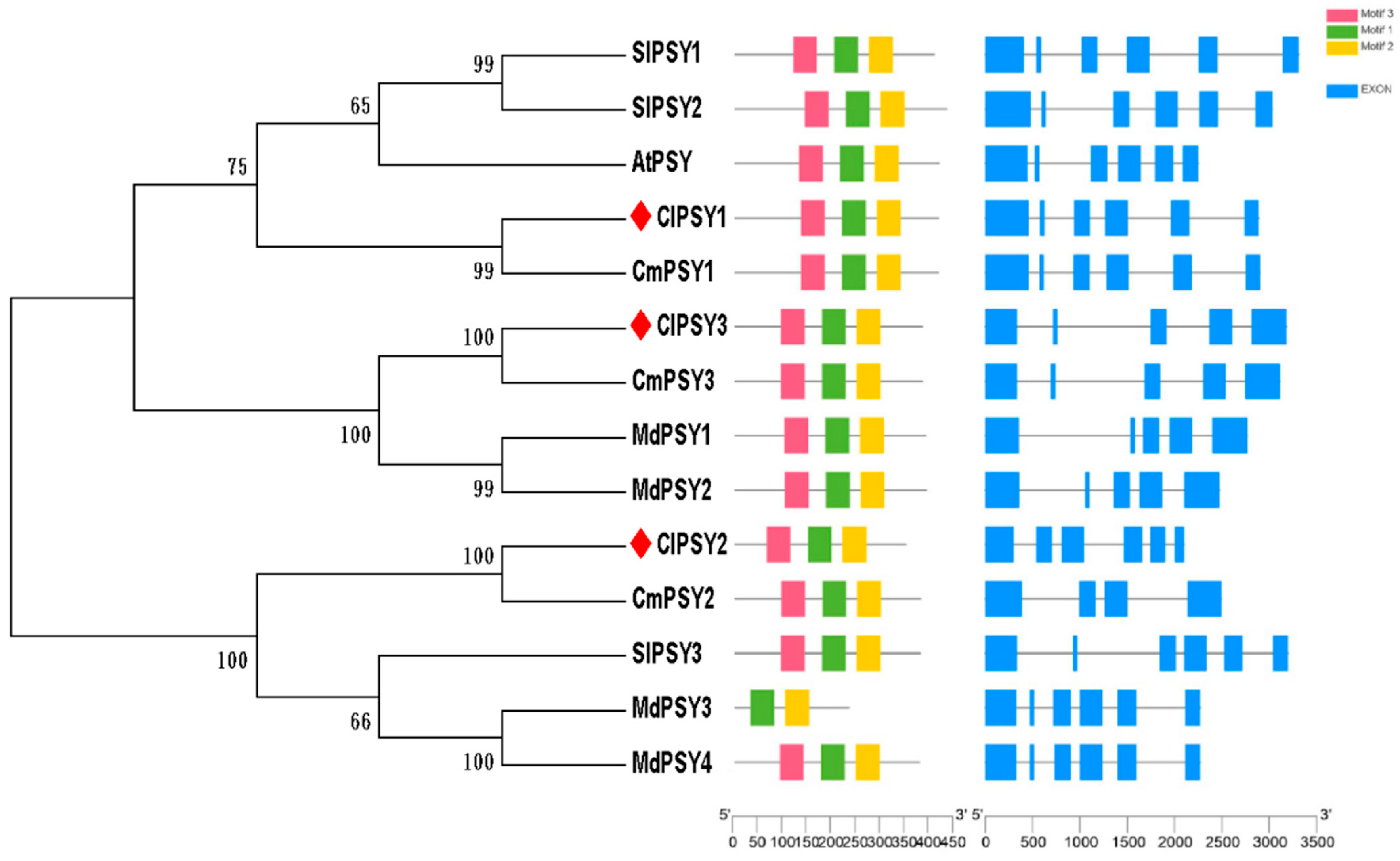 Agronomy 10 01077 g002 Agronomy 10 01077 g002