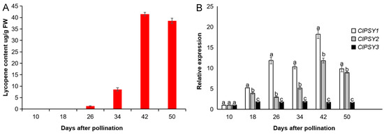Functional Characterization and in Silico Analysis of Phytoene Synthase ...