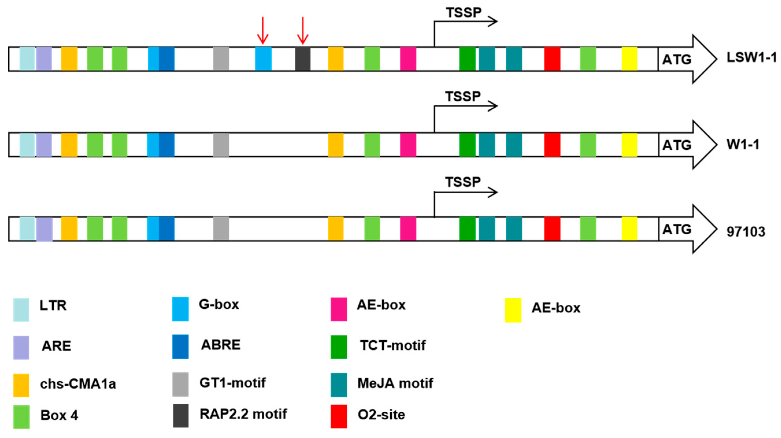 Agronomy 10 01077 g005 Agronomy 10 01077 g005