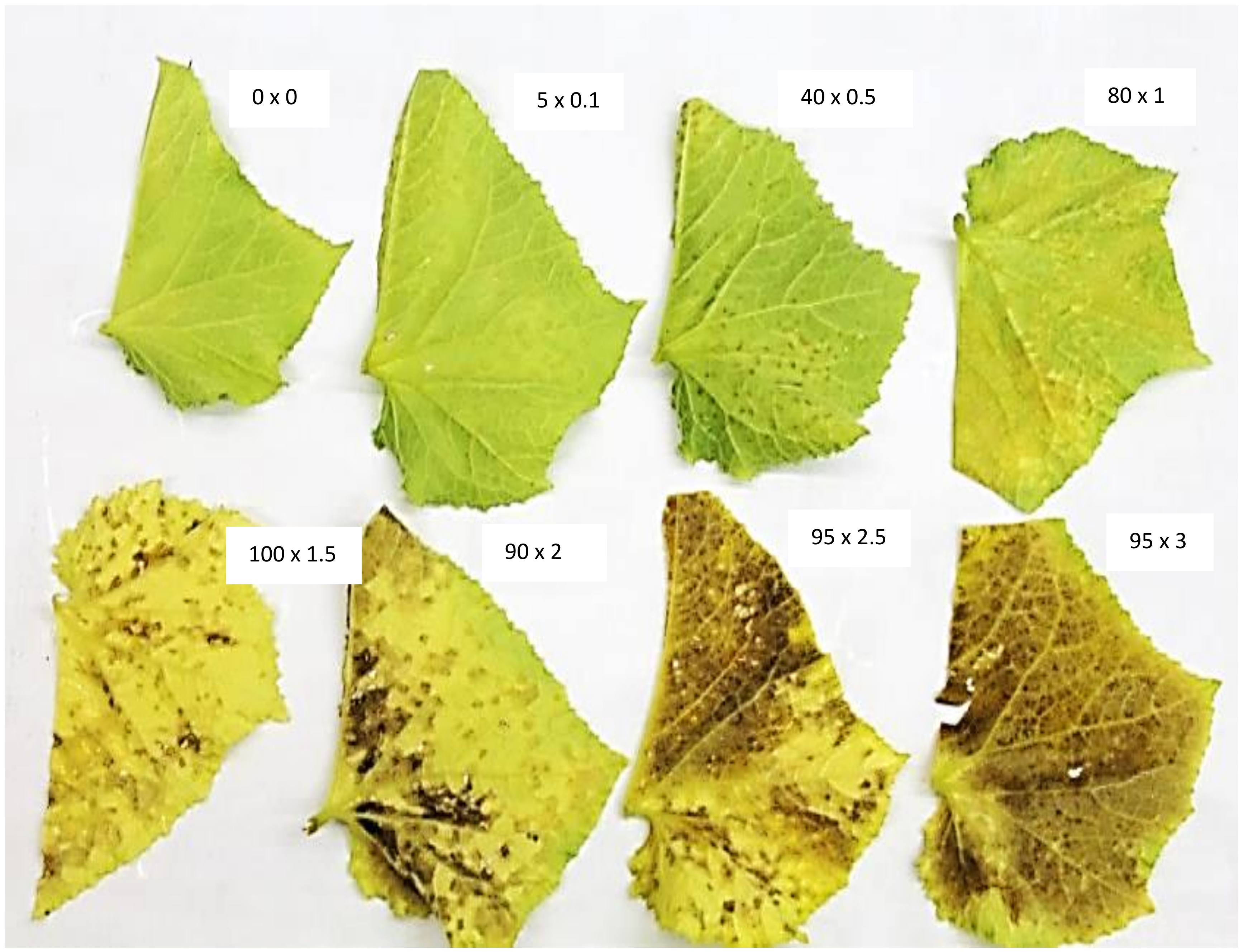 Agronomy 10 01086 g001 Agronomy 10 01086 g001