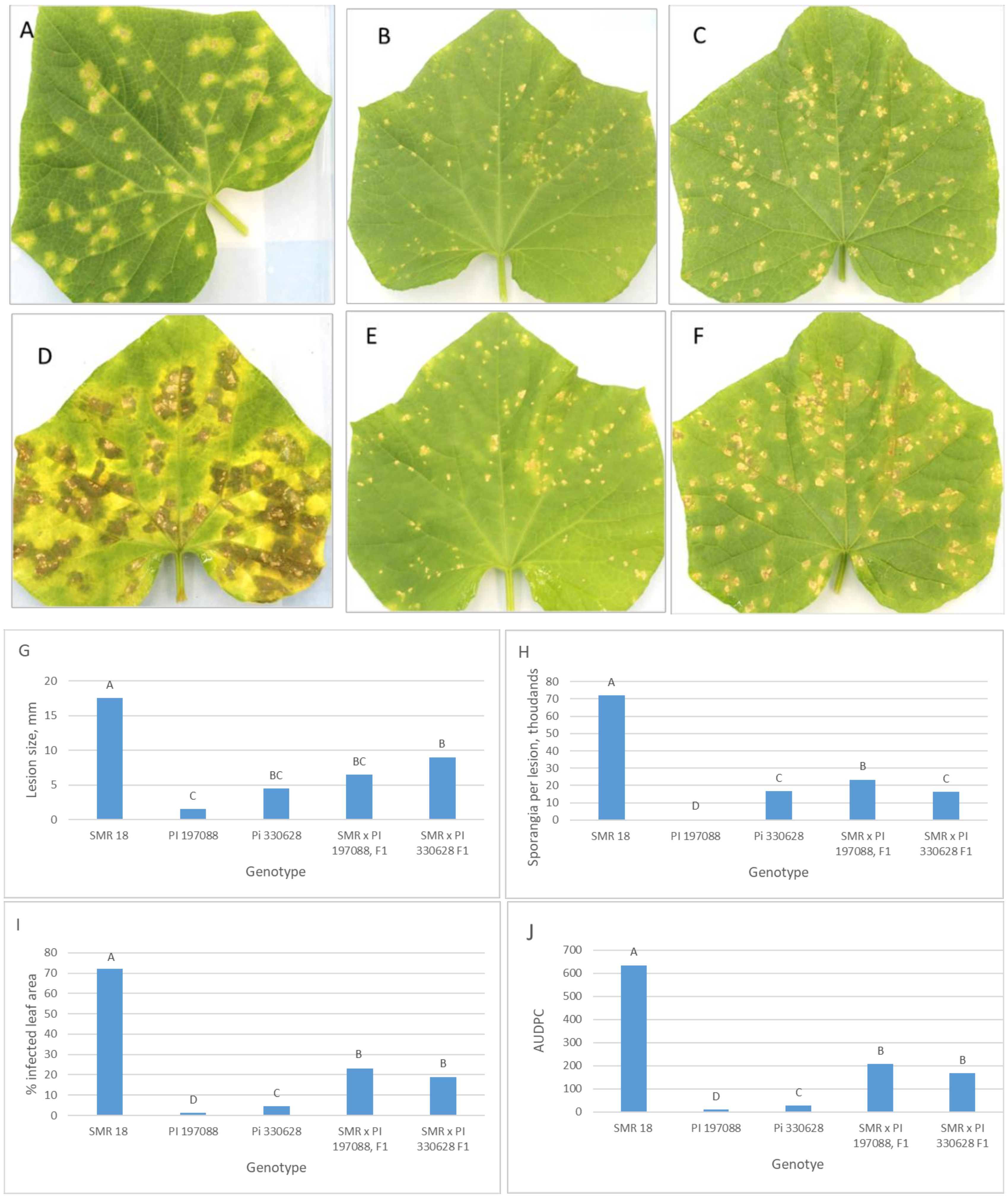 Agronomy 10 01086 g007 Agronomy 10 01086 g007