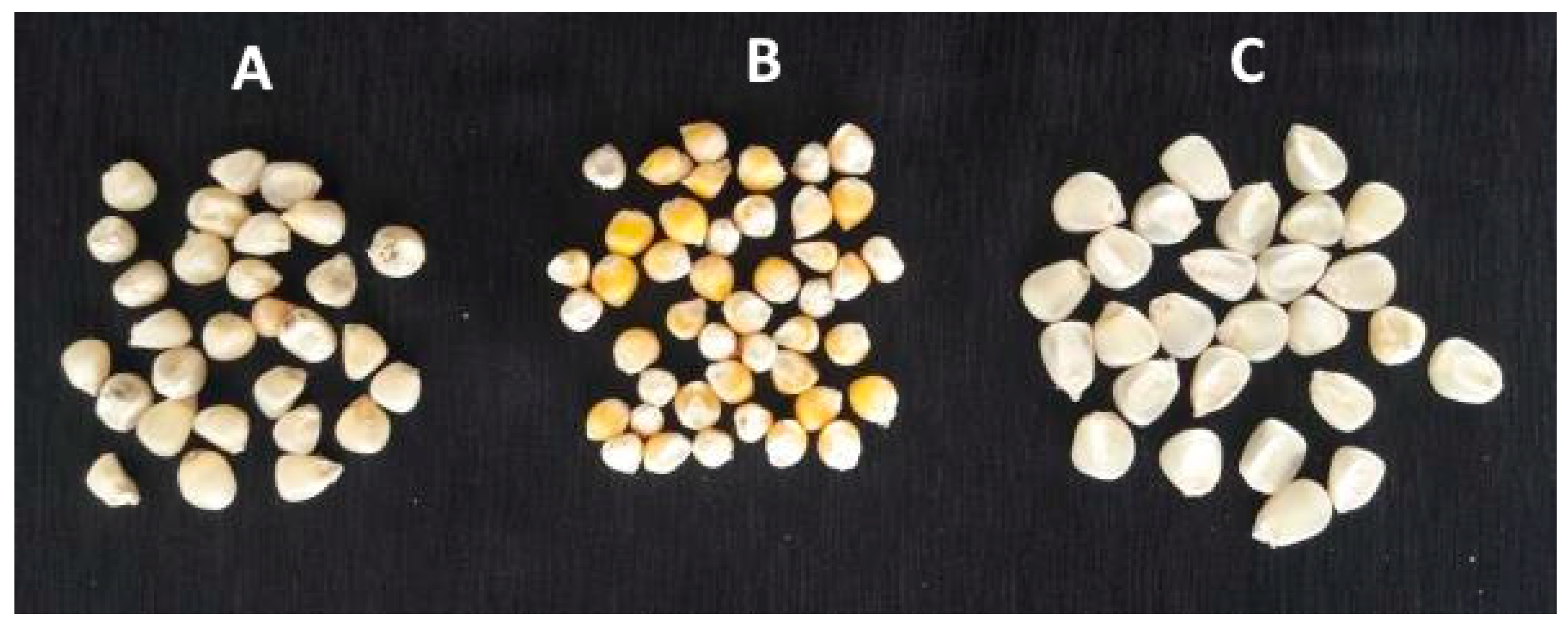 Agronomy 10 01091 g003 Agronomy 10 01091 g003