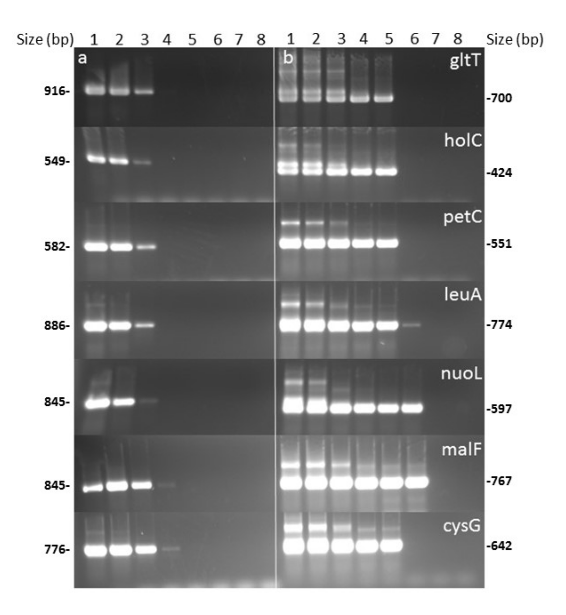 Agronomy 10 01099 g002 Agronomy 10 01099 g002