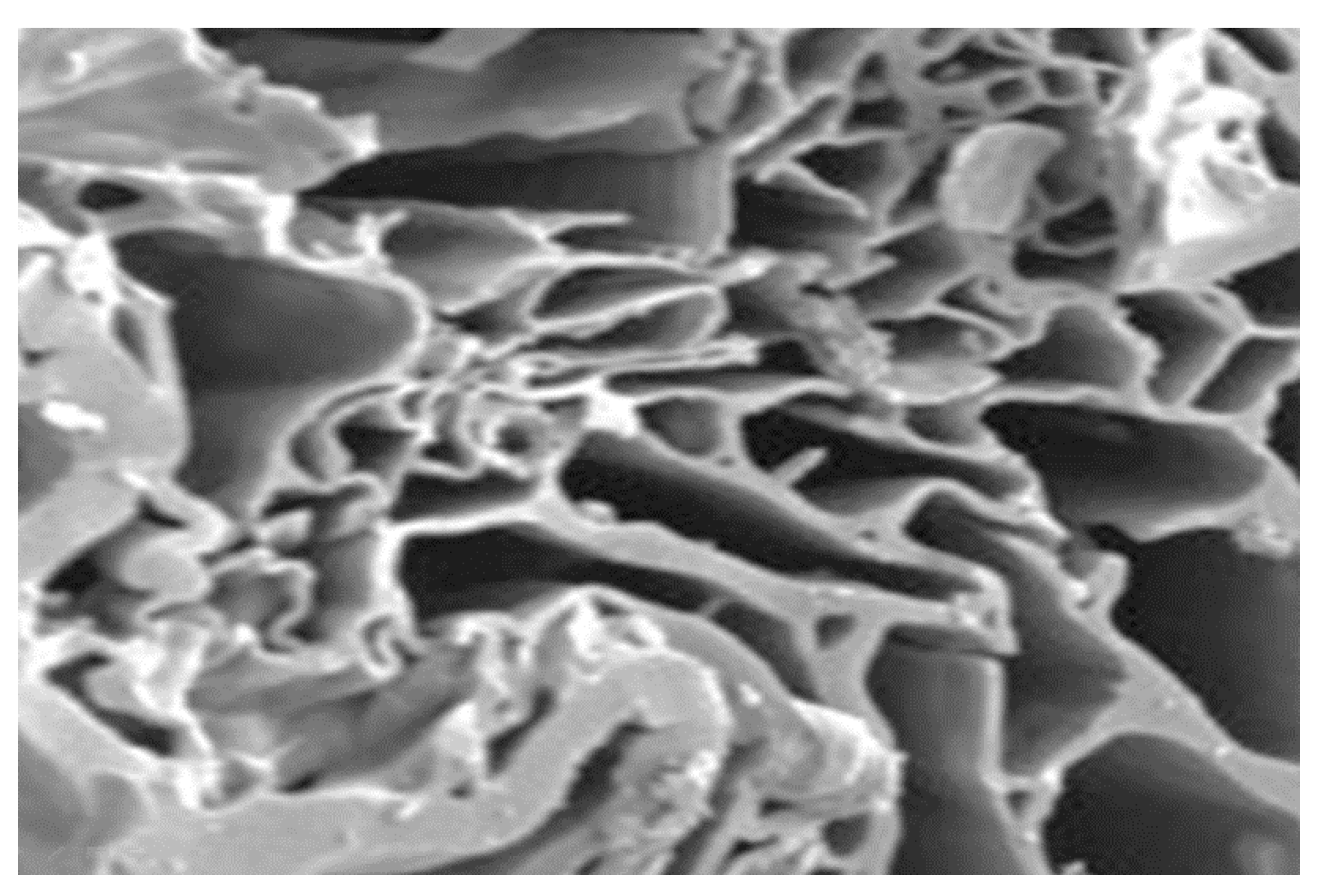 Agronomy 10 01100 g001