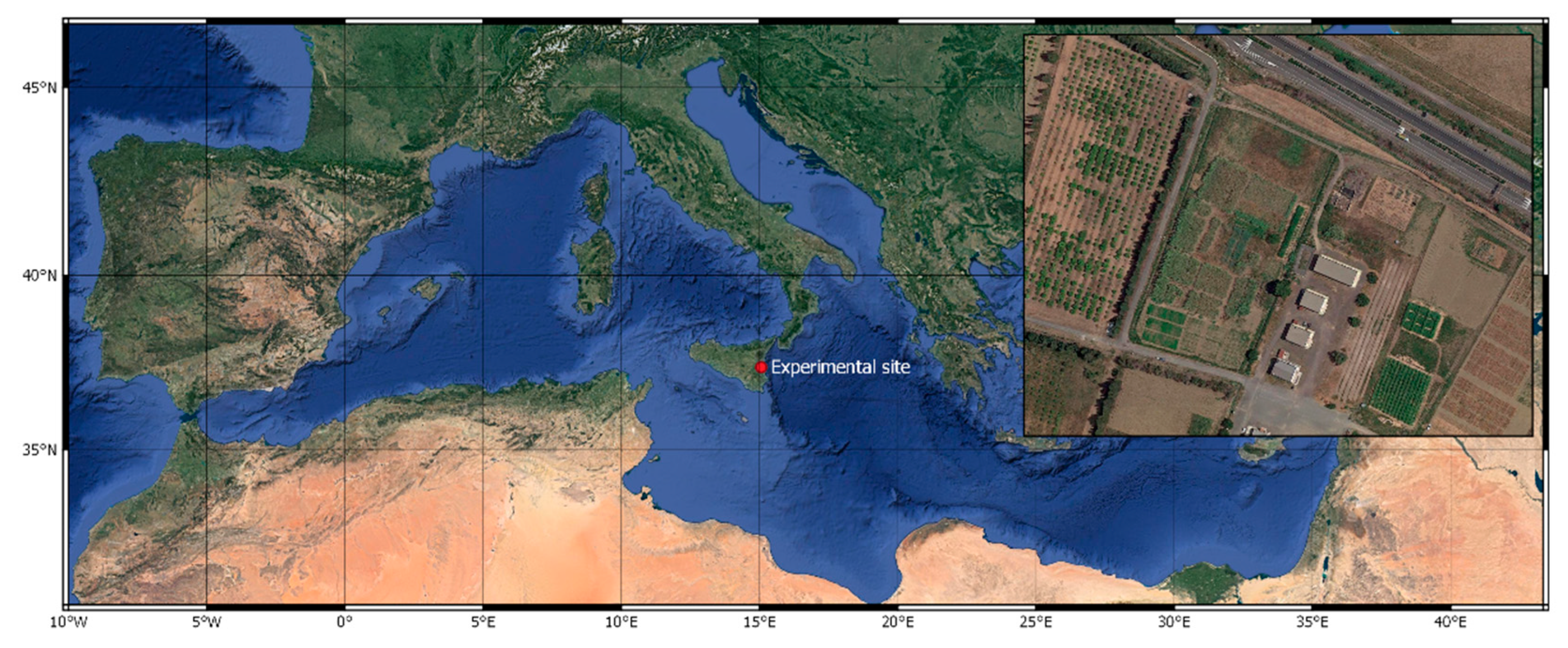 Agronomy 10 01105 g001 Agronomy 10 01105 g001