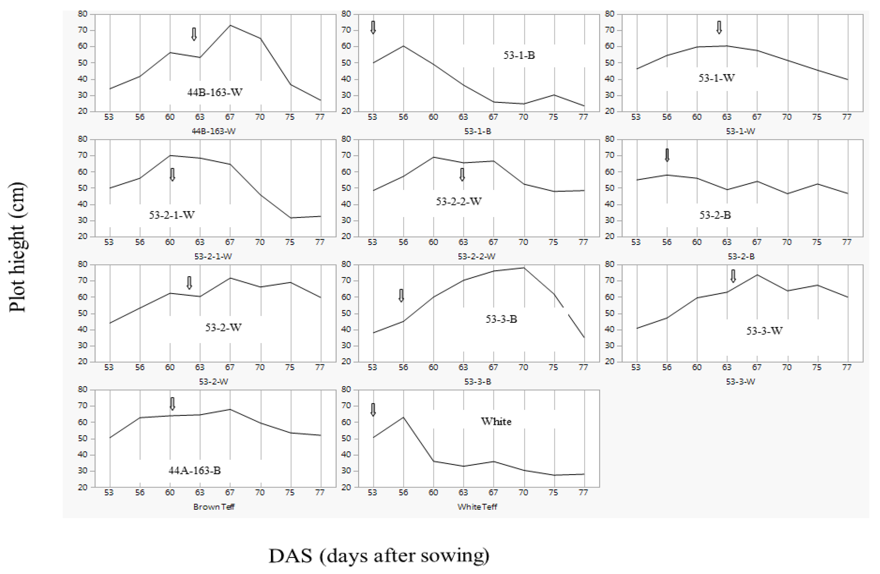 Agronomy 10 01107 g001