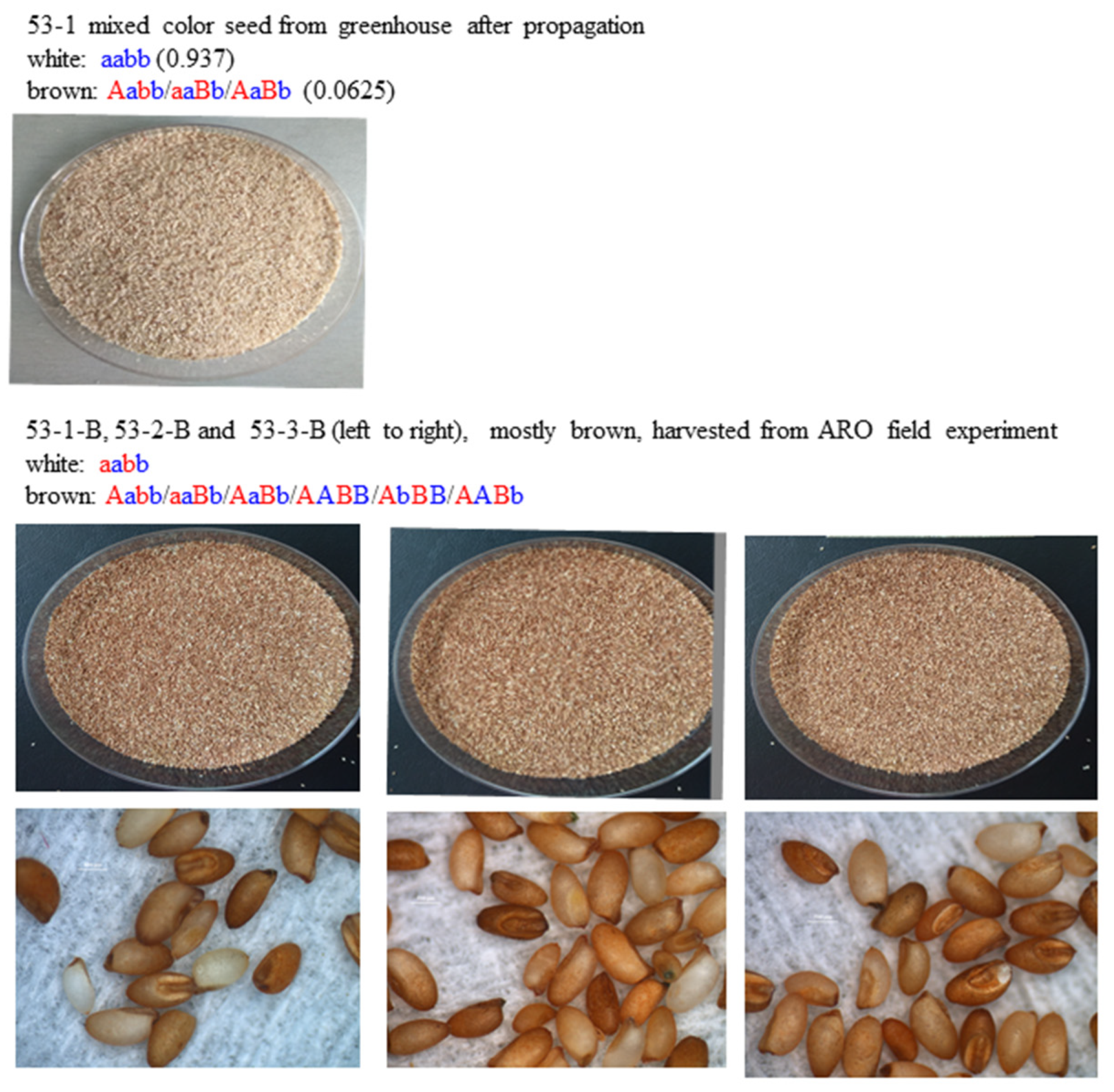 Agronomy 10 01107 g005