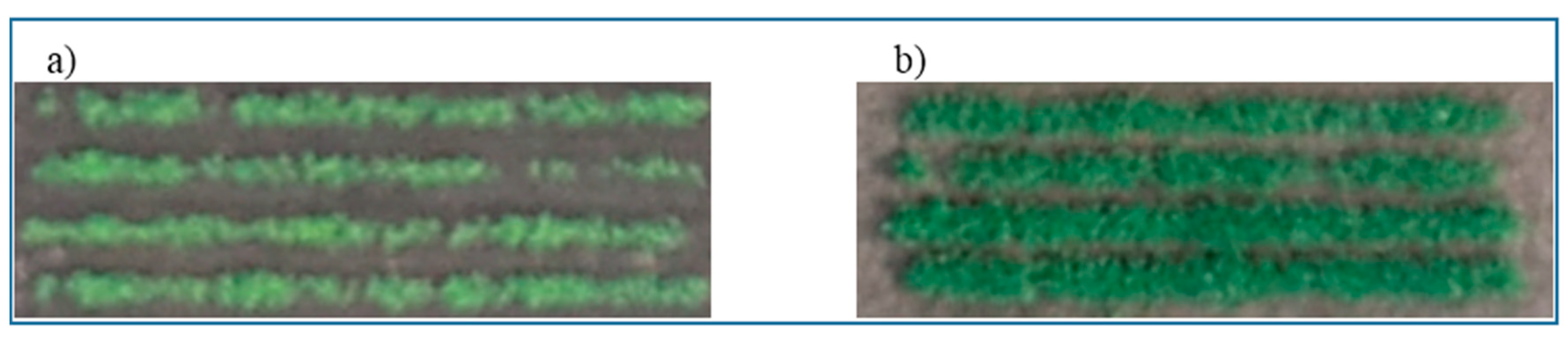 Agronomy 10 01108 g001 Agronomy 10 01108 g001