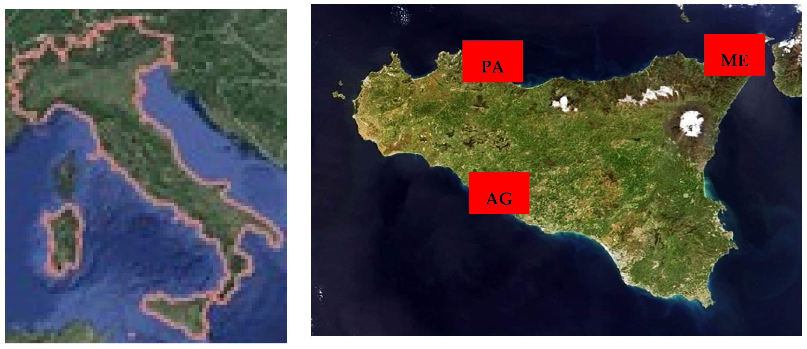 Agronomy 10 01114 g001