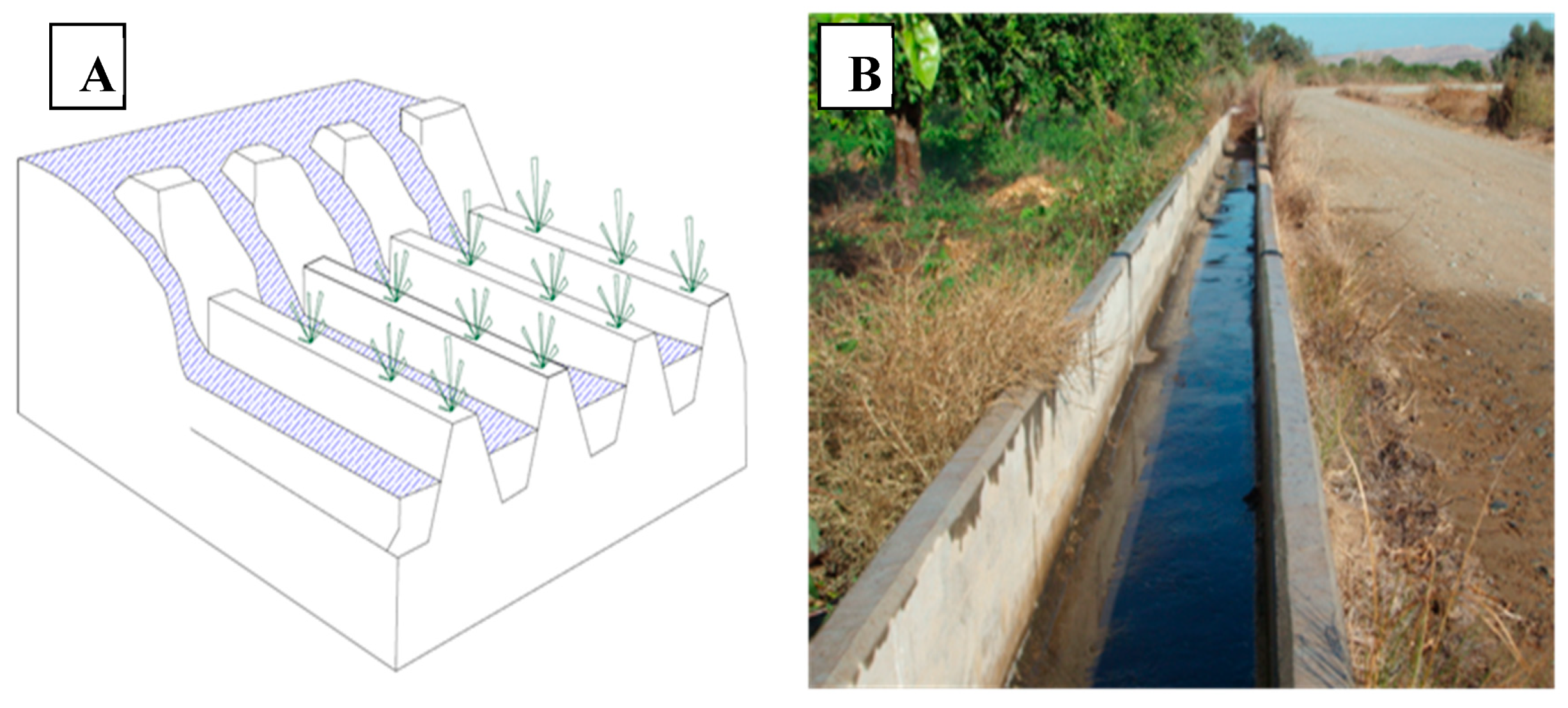 Agronomy 10 01120 g001