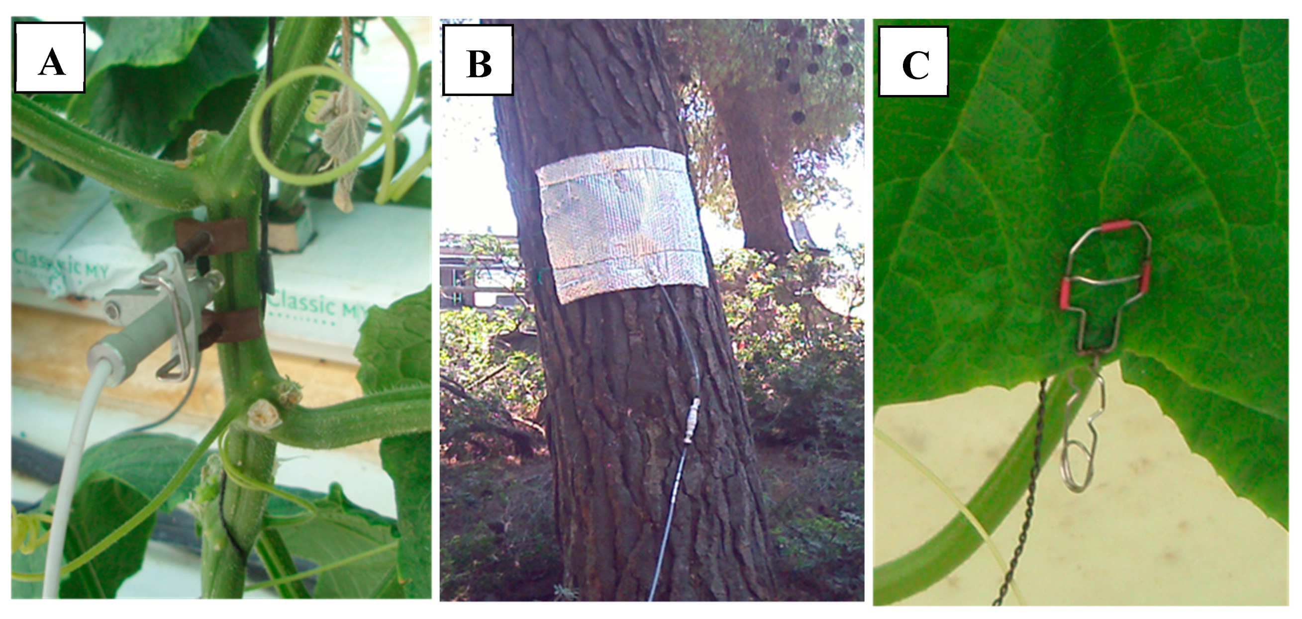 Agronomy 10 01120 g006