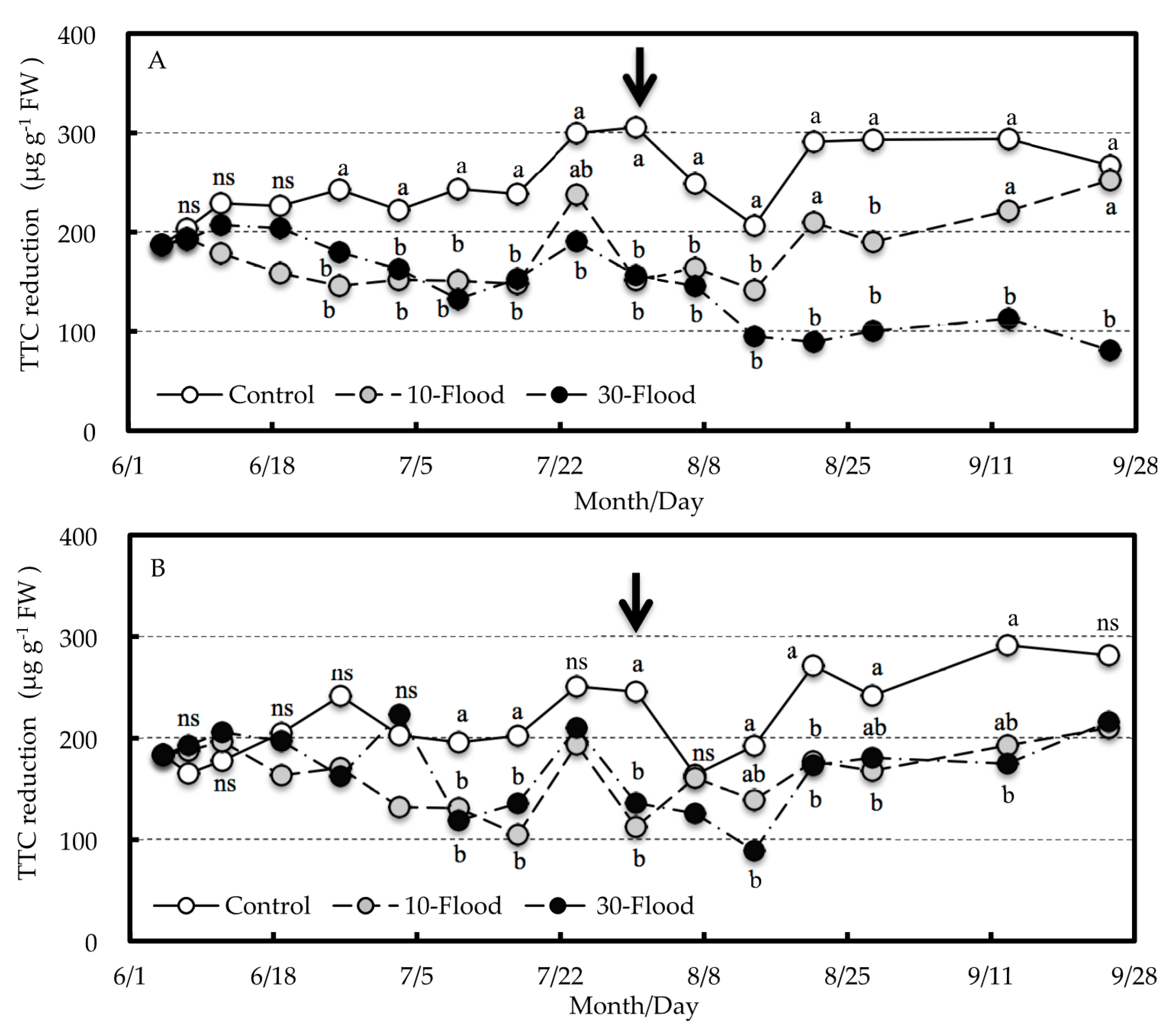 Agronomy 10 01121 g004