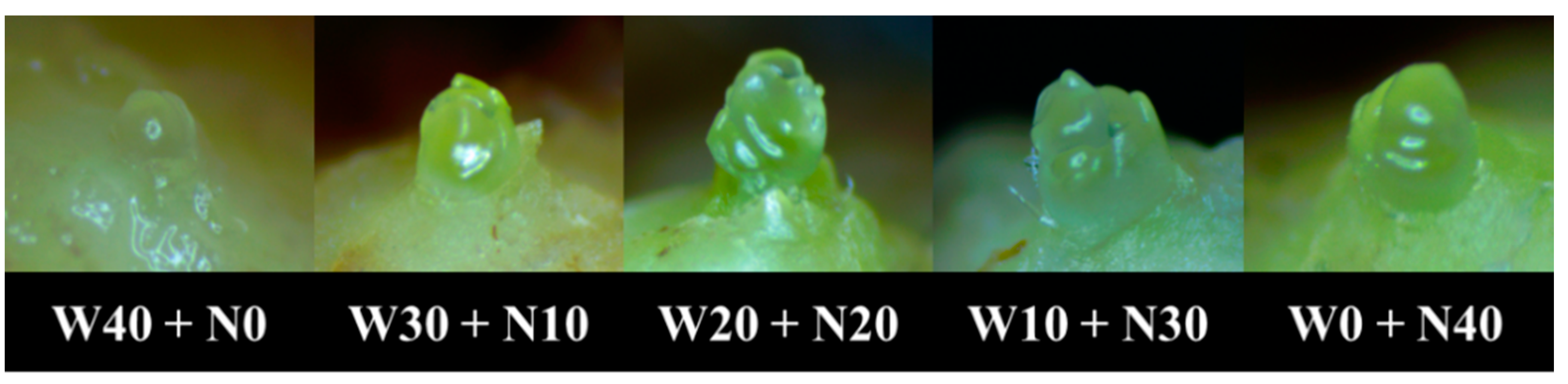 Agronomy 10 01127 g002 Agronomy 10 01127 g002