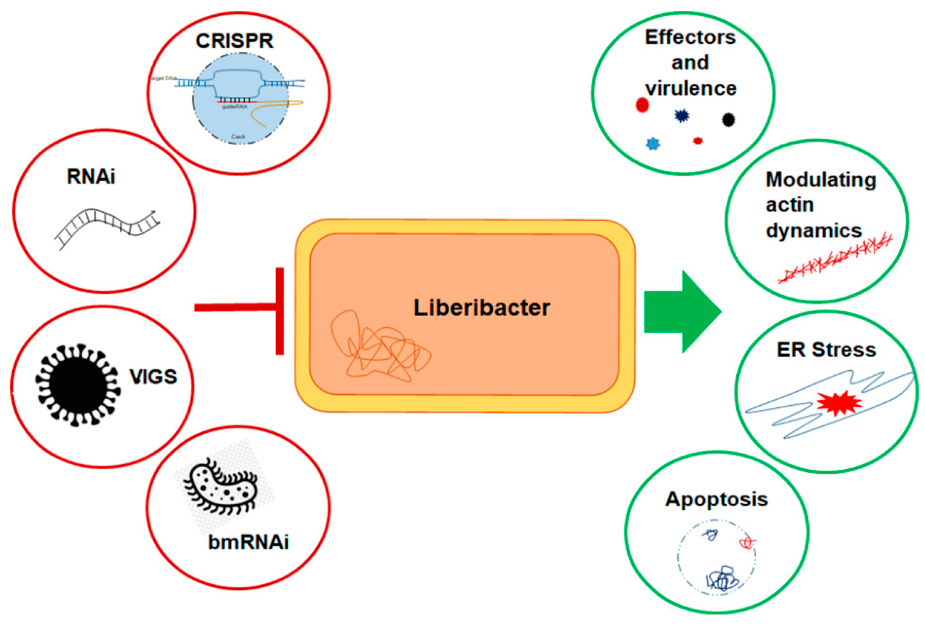 Agronomy 10 01132 g002 Agronomy 10 01132 g002