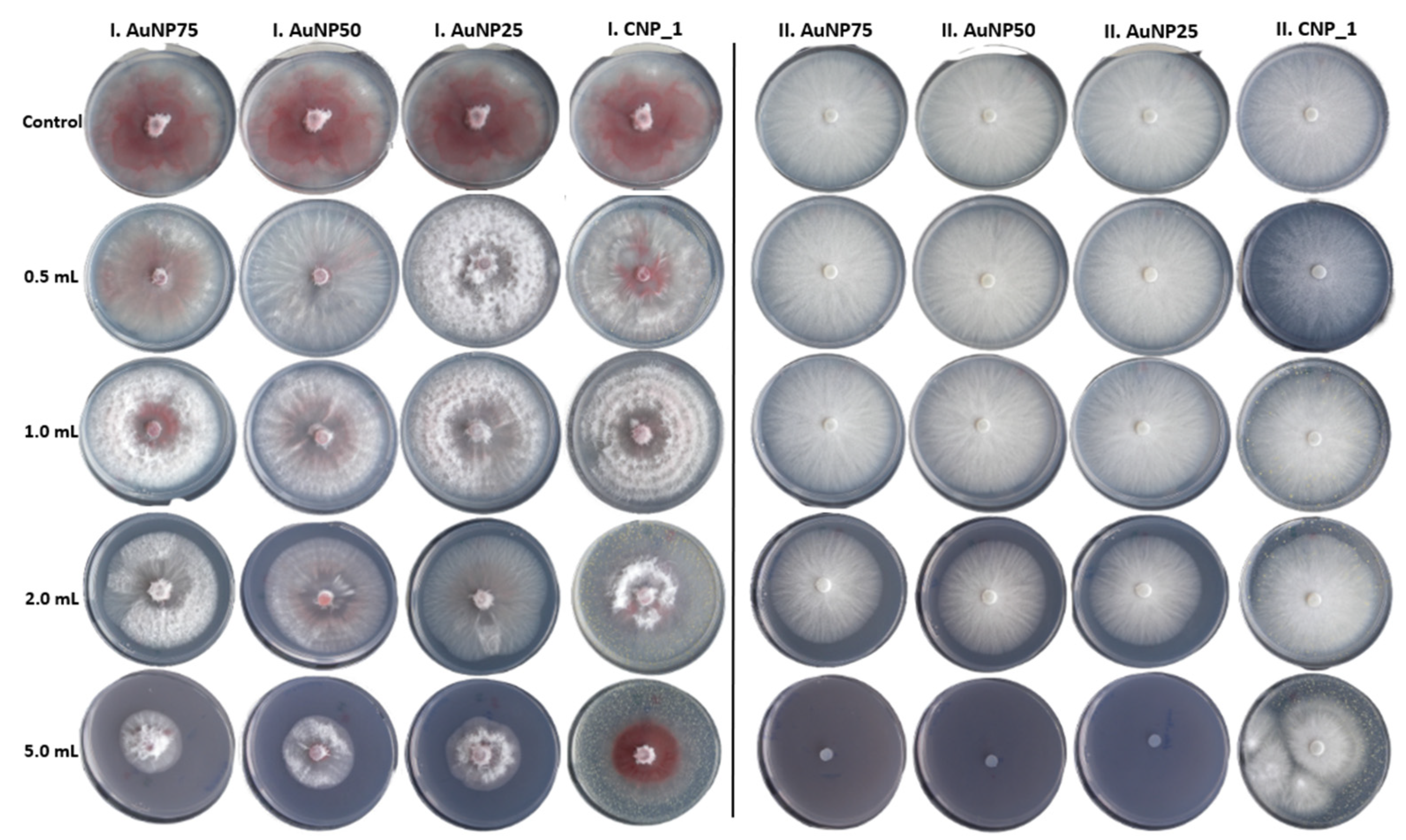 Agronomy 10 01143 g005 Agronomy 10 01143 g005