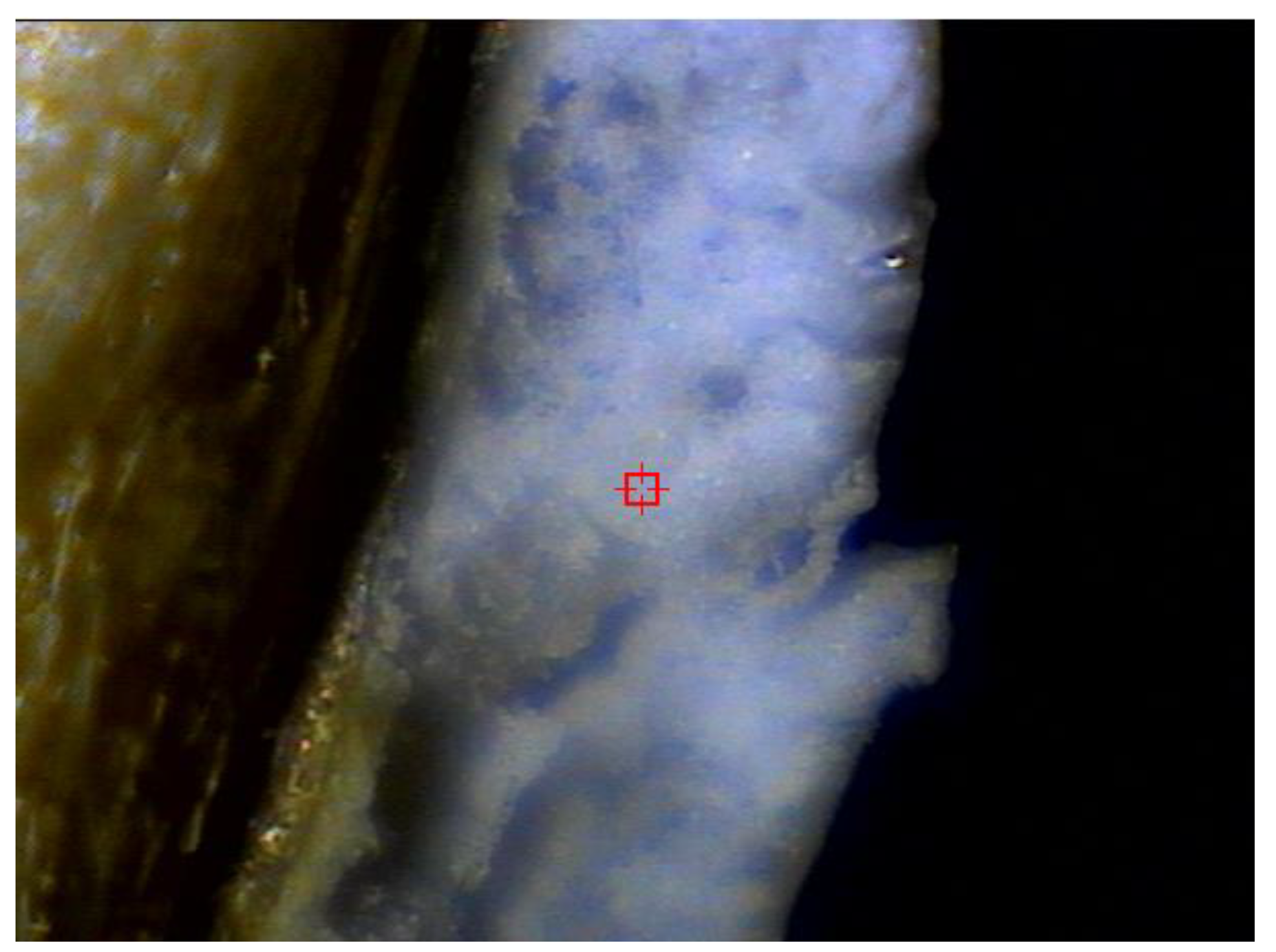 Agronomy 10 01164 g002