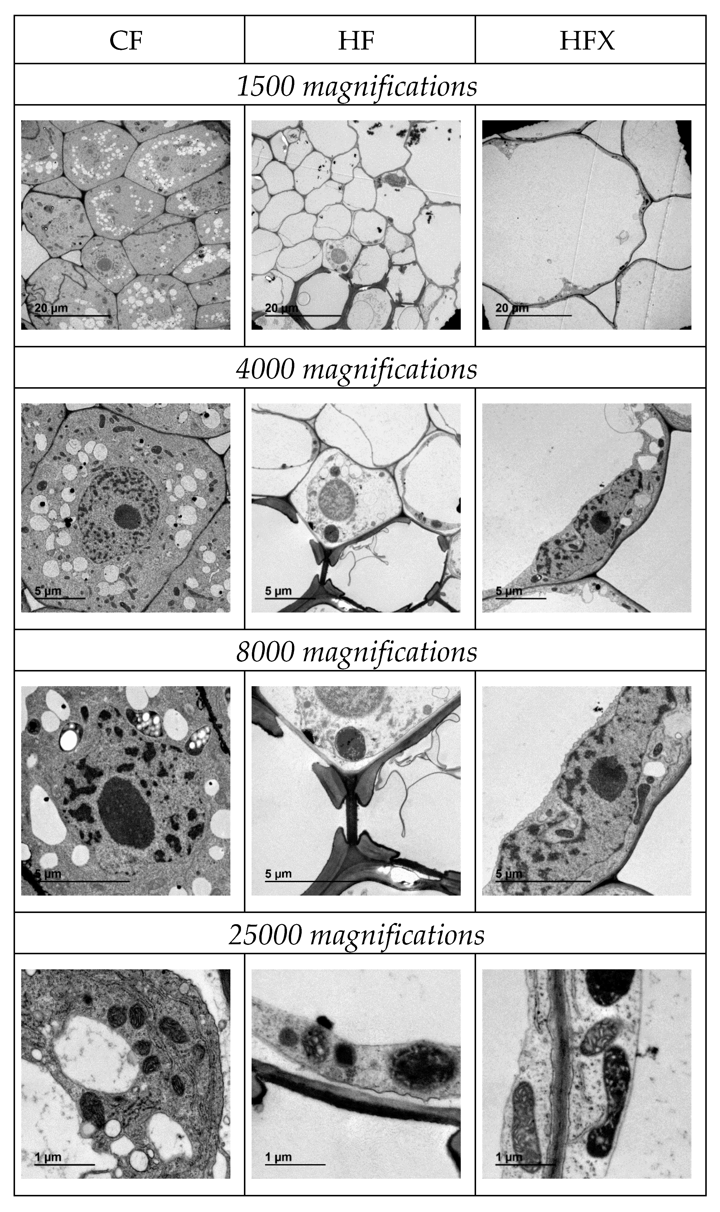 Agronomy 10 01165 g004