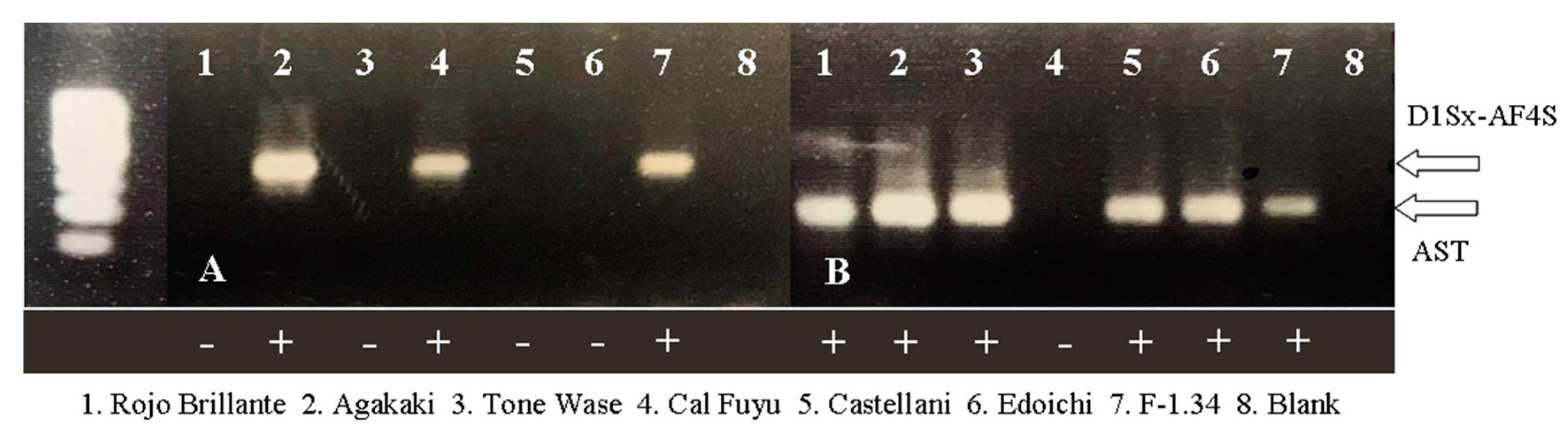 Agronomy 10 01172 g002