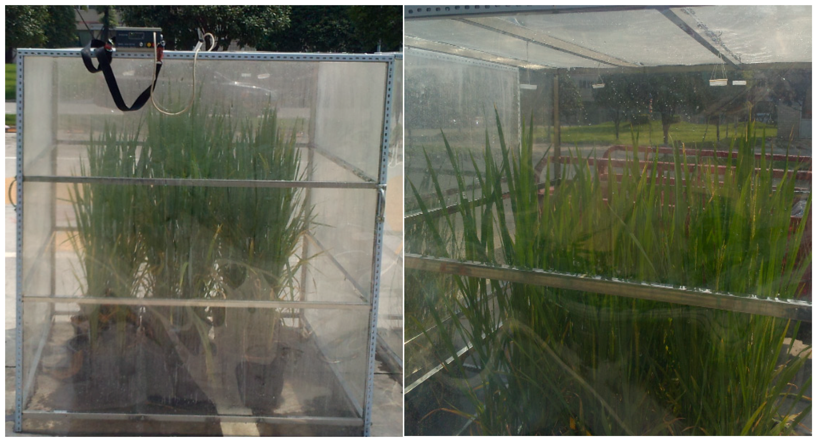 Agronomy 10 01187 g001