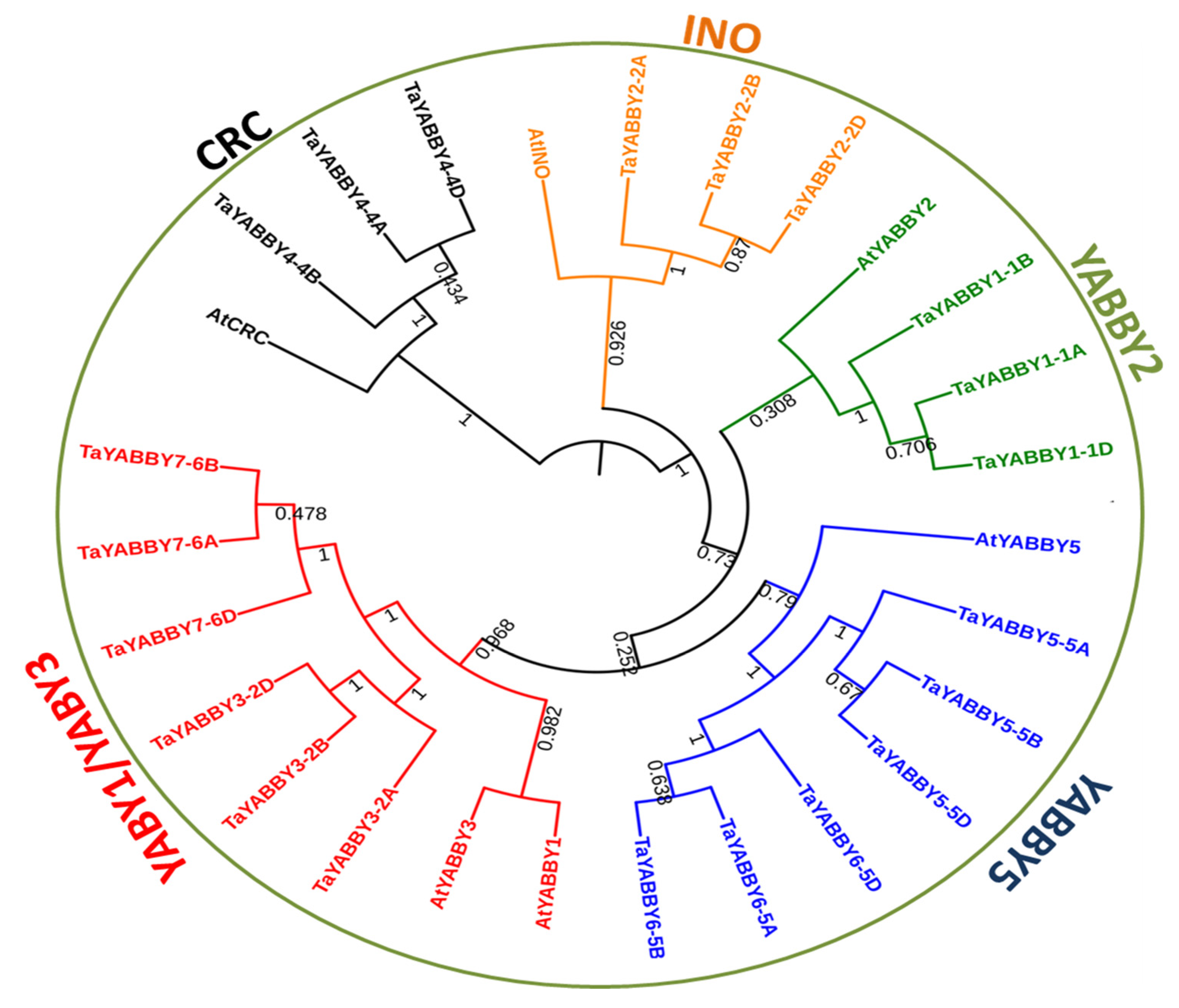 Agronomy 10 01189 g001 Agronomy 10 01189 g001