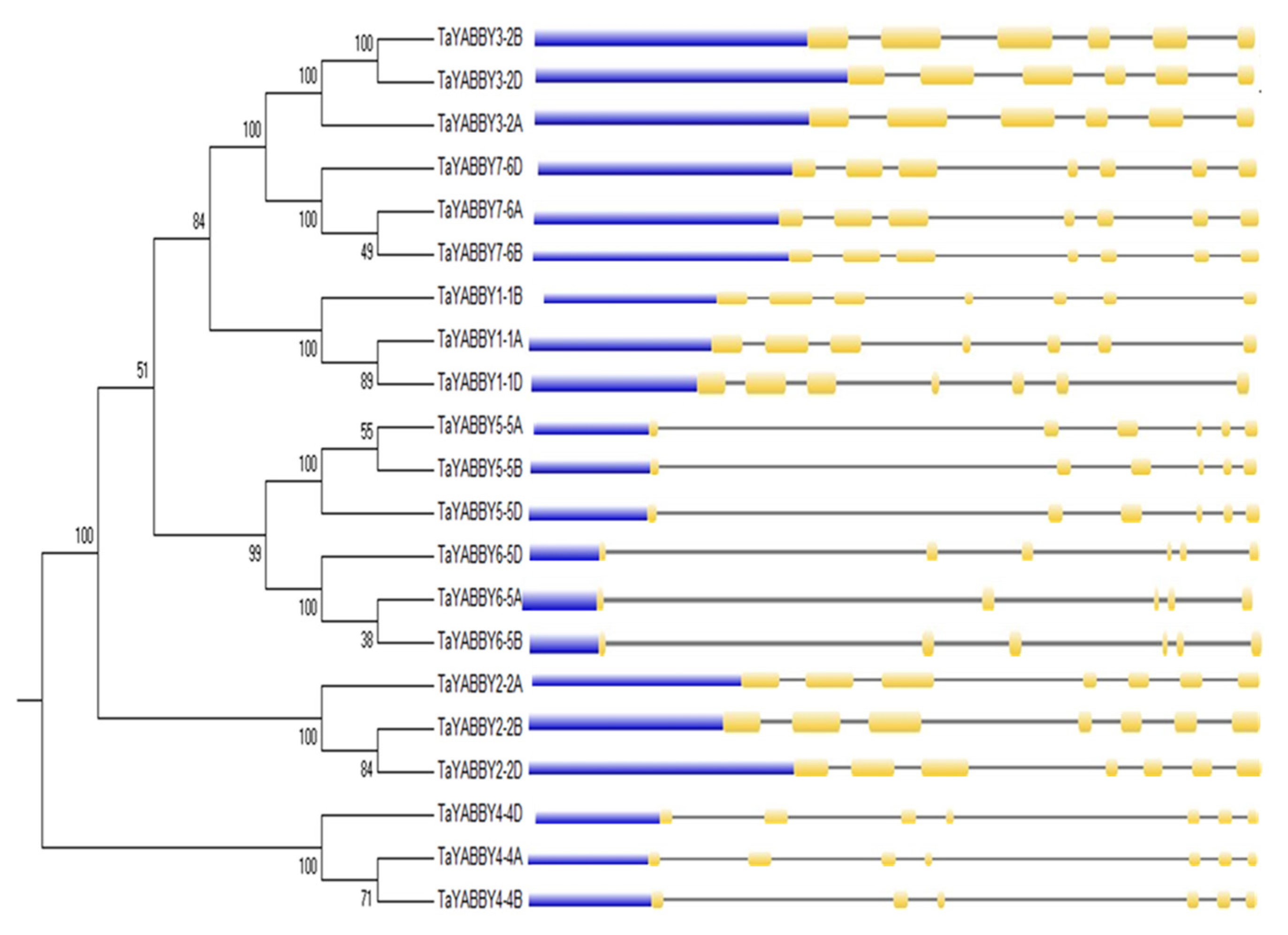 Agronomy 10 01189 g002 Agronomy 10 01189 g002