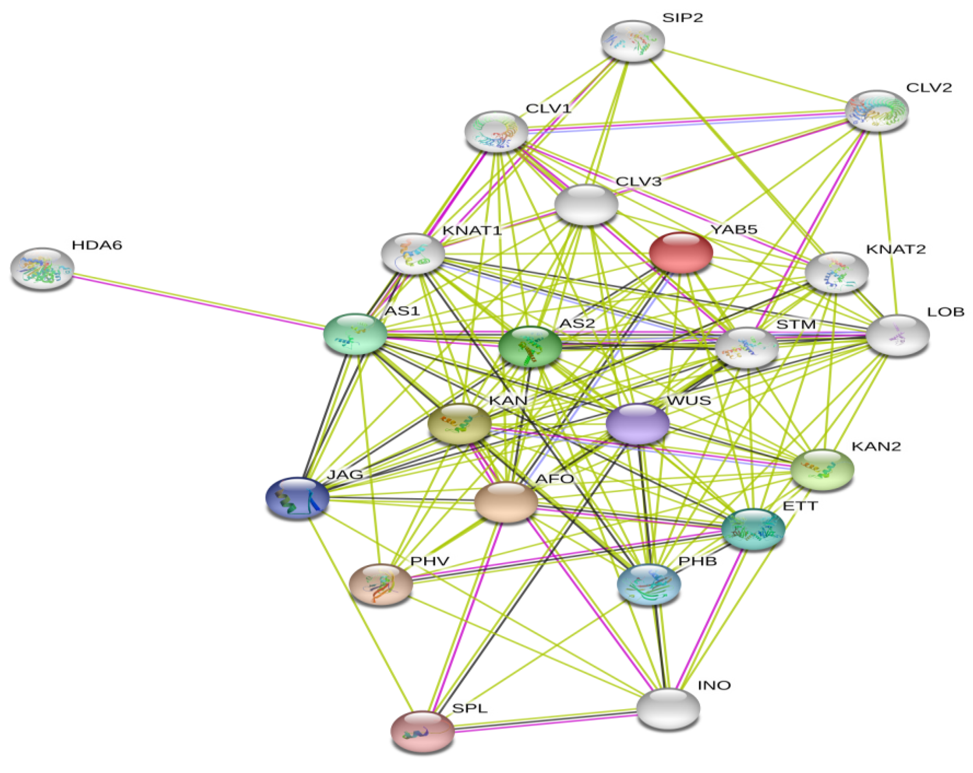 Agronomy 10 01189 g006 Agronomy 10 01189 g006