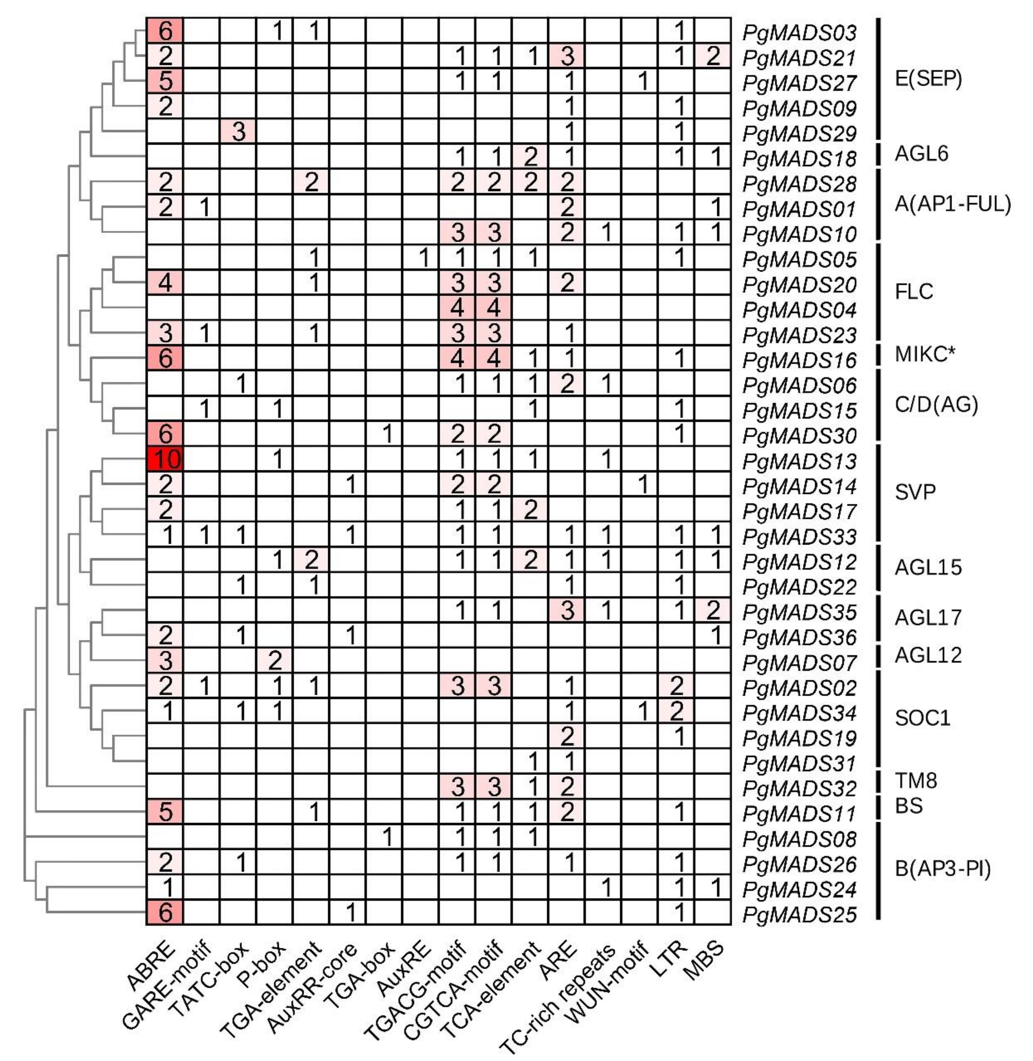 Agronomy 10 01197 g003 Agronomy 10 01197 g003