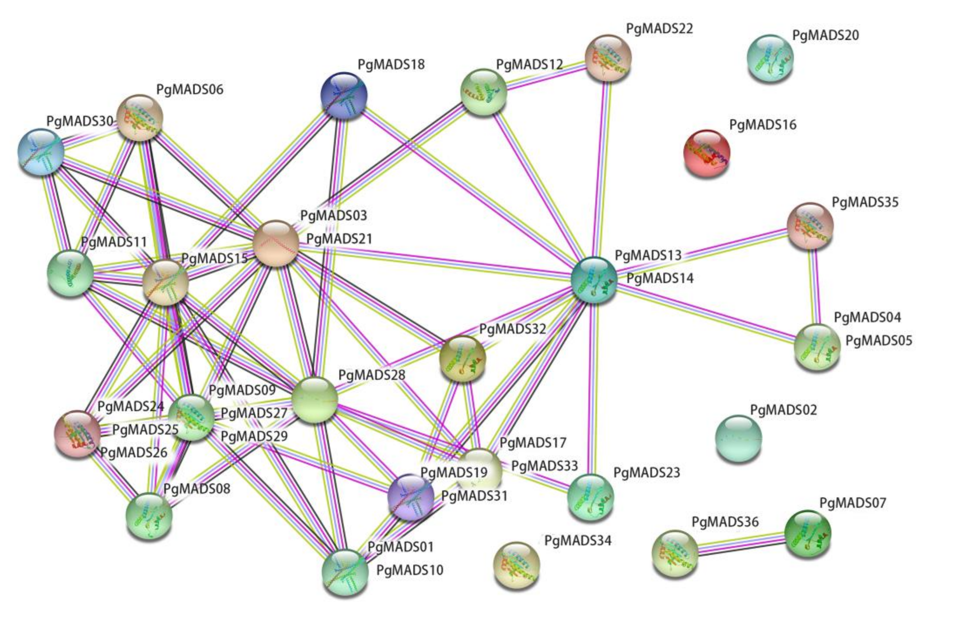 Agronomy 10 01197 g004 Agronomy 10 01197 g004