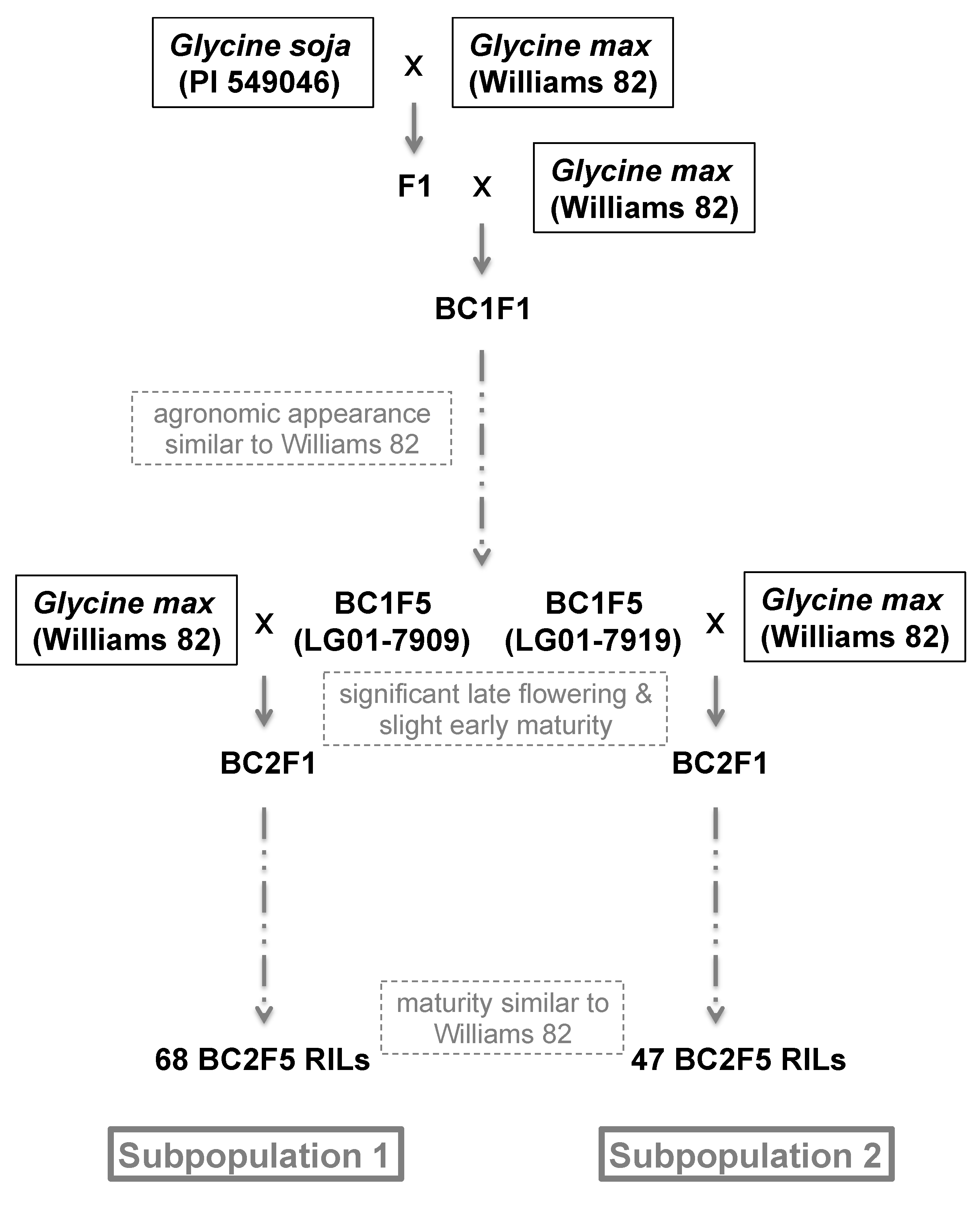Agronomy 10 01204 g001 Agronomy 10 01204 g001