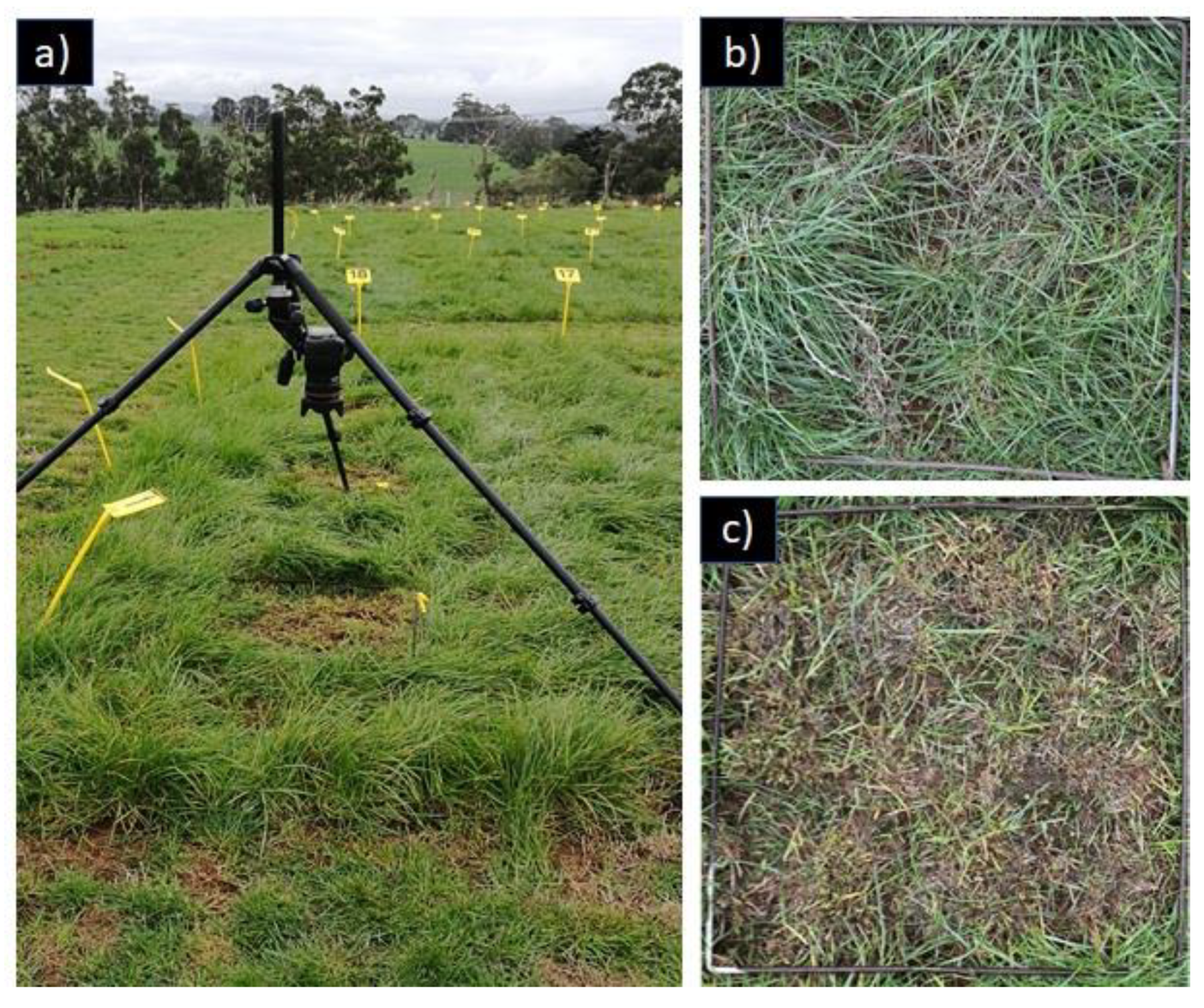 Agronomy 10 01206 g003 Agronomy 10 01206 g003