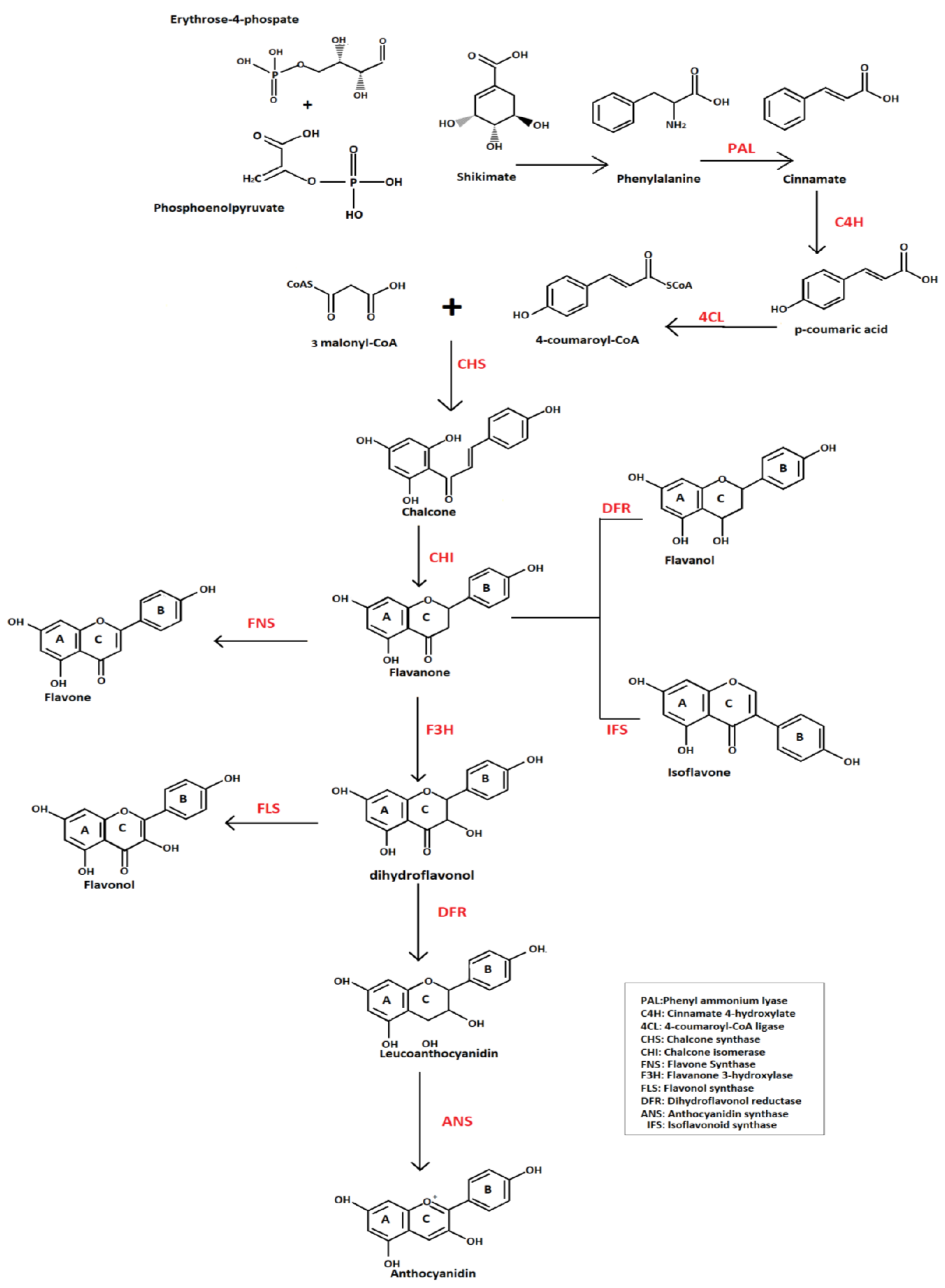 Agronomy 10 01209 g001 Agronomy 10 01209 g001