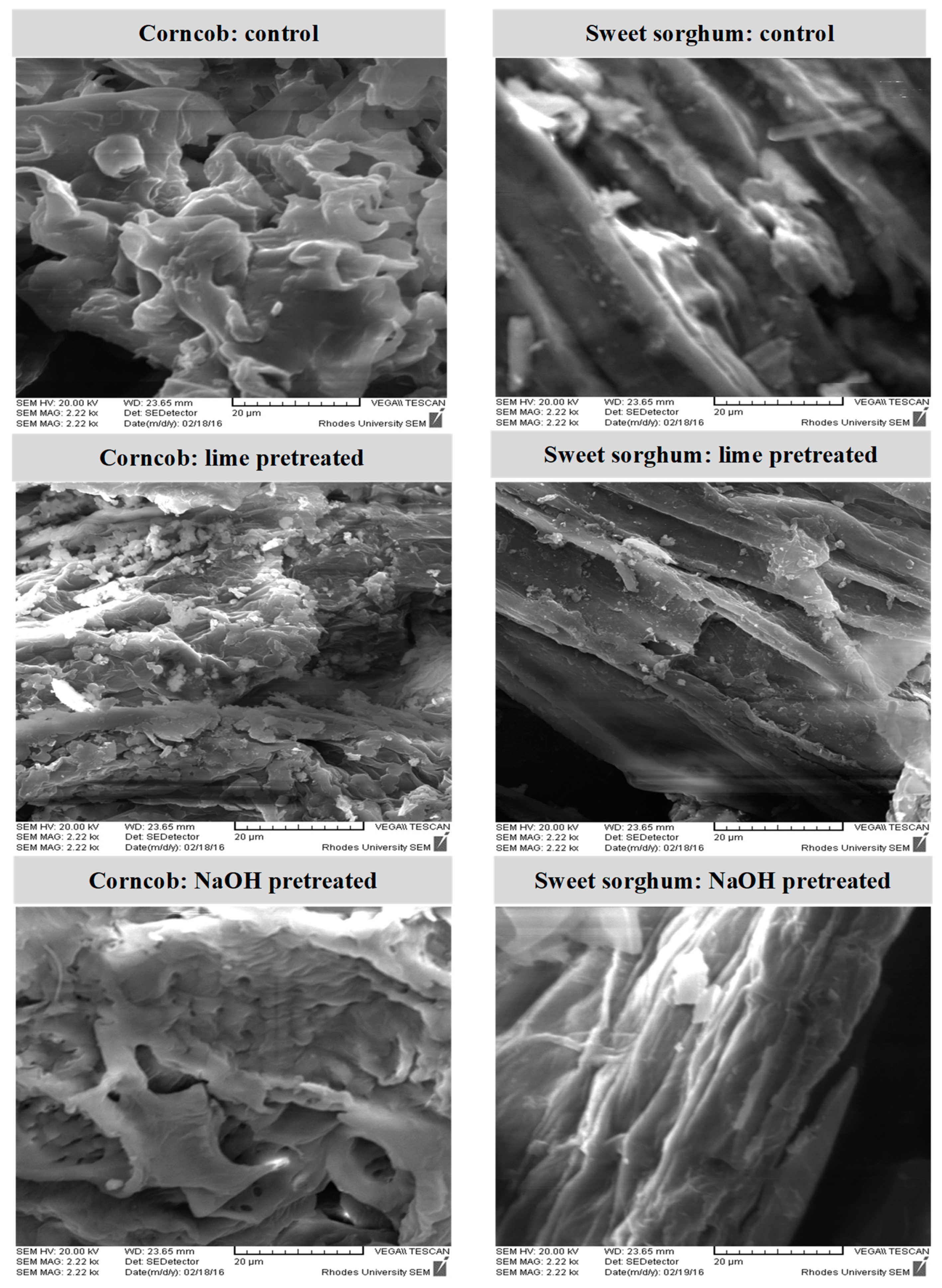 Agronomy 10 01211 g001