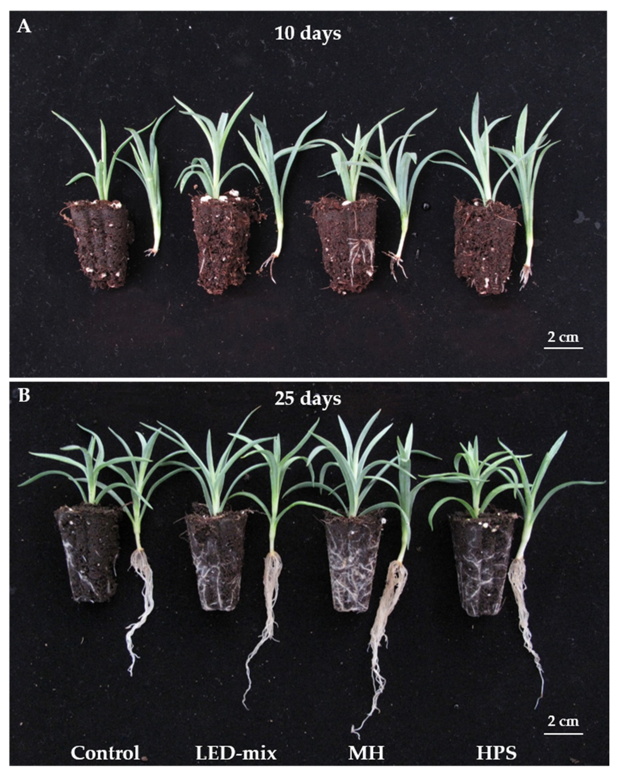 Agronomy 10 01217 g002 Agronomy 10 01217 g002