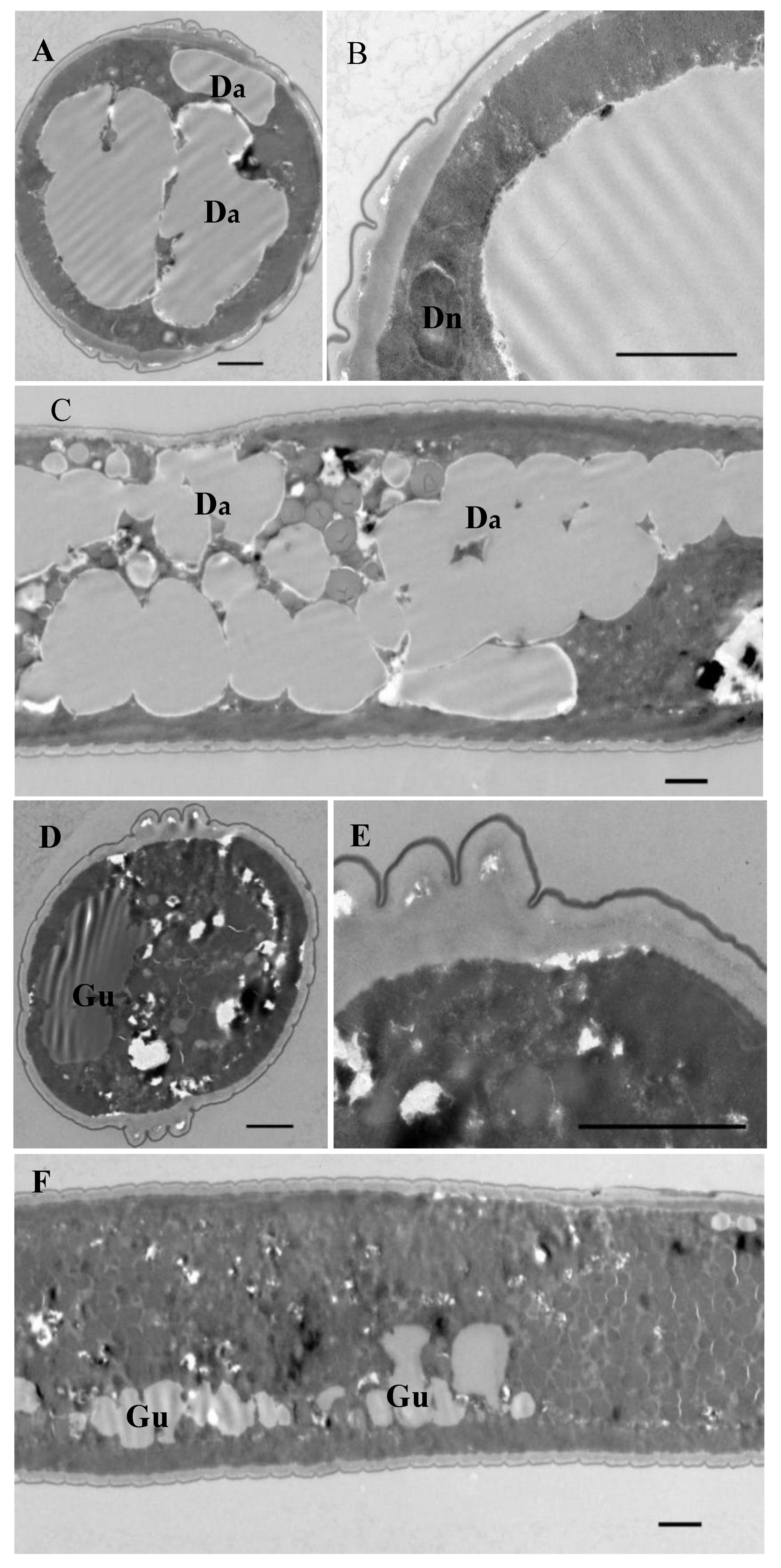Agronomy 10 01222 g005 Agronomy 10 01222 g005