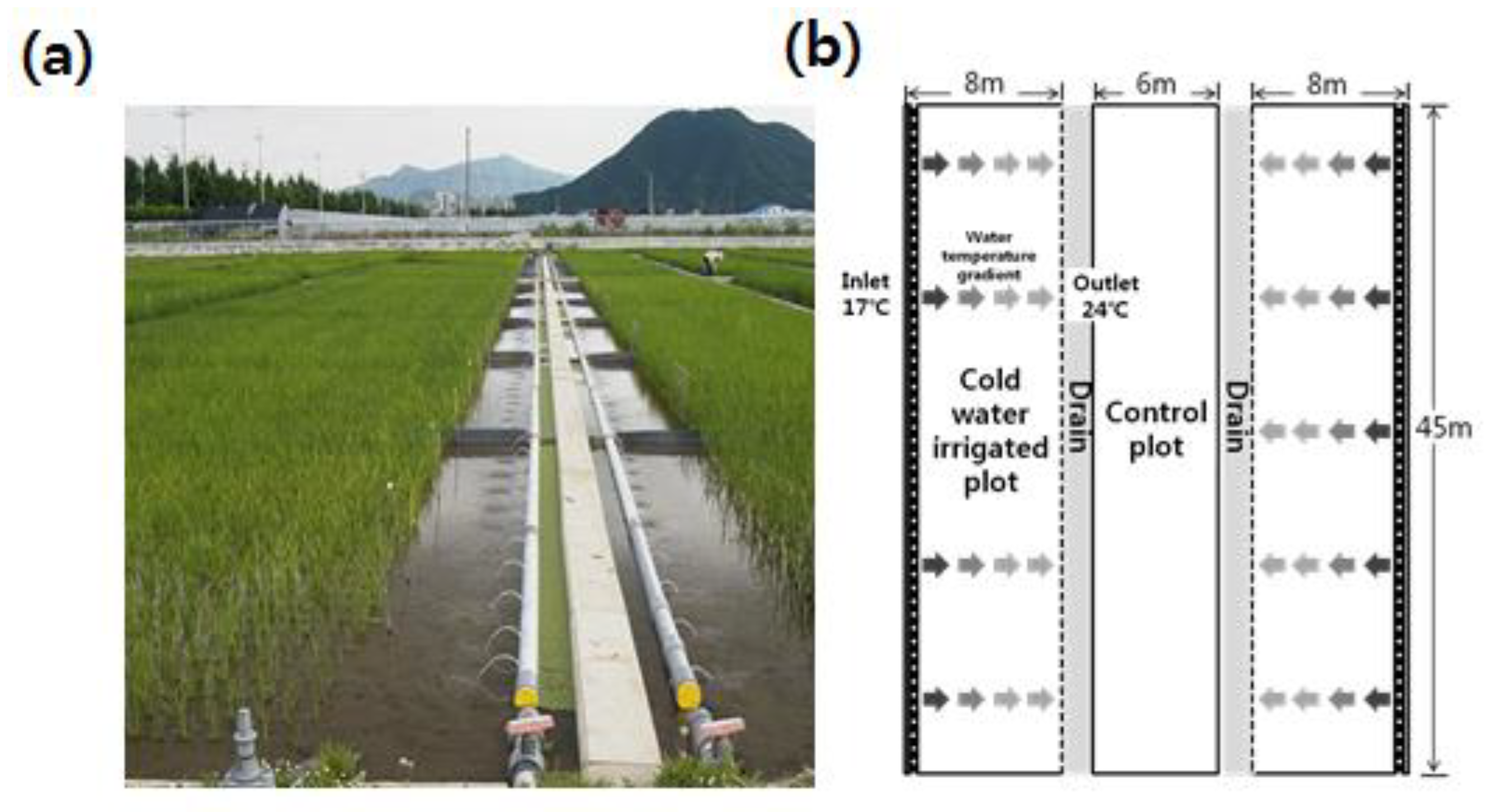 Agronomy 10 01225 g001 550