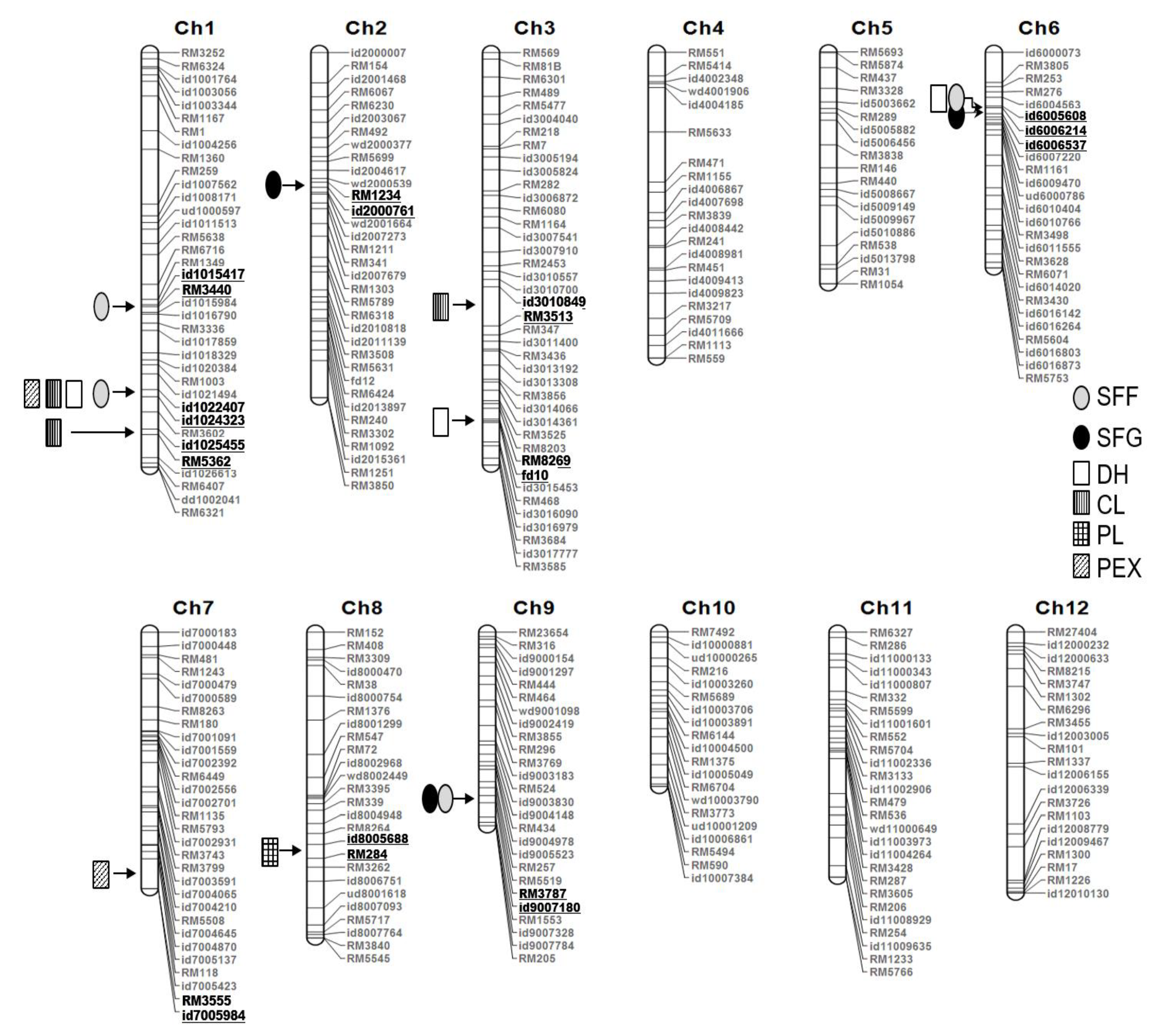 Agronomy 10 01225 g002 550