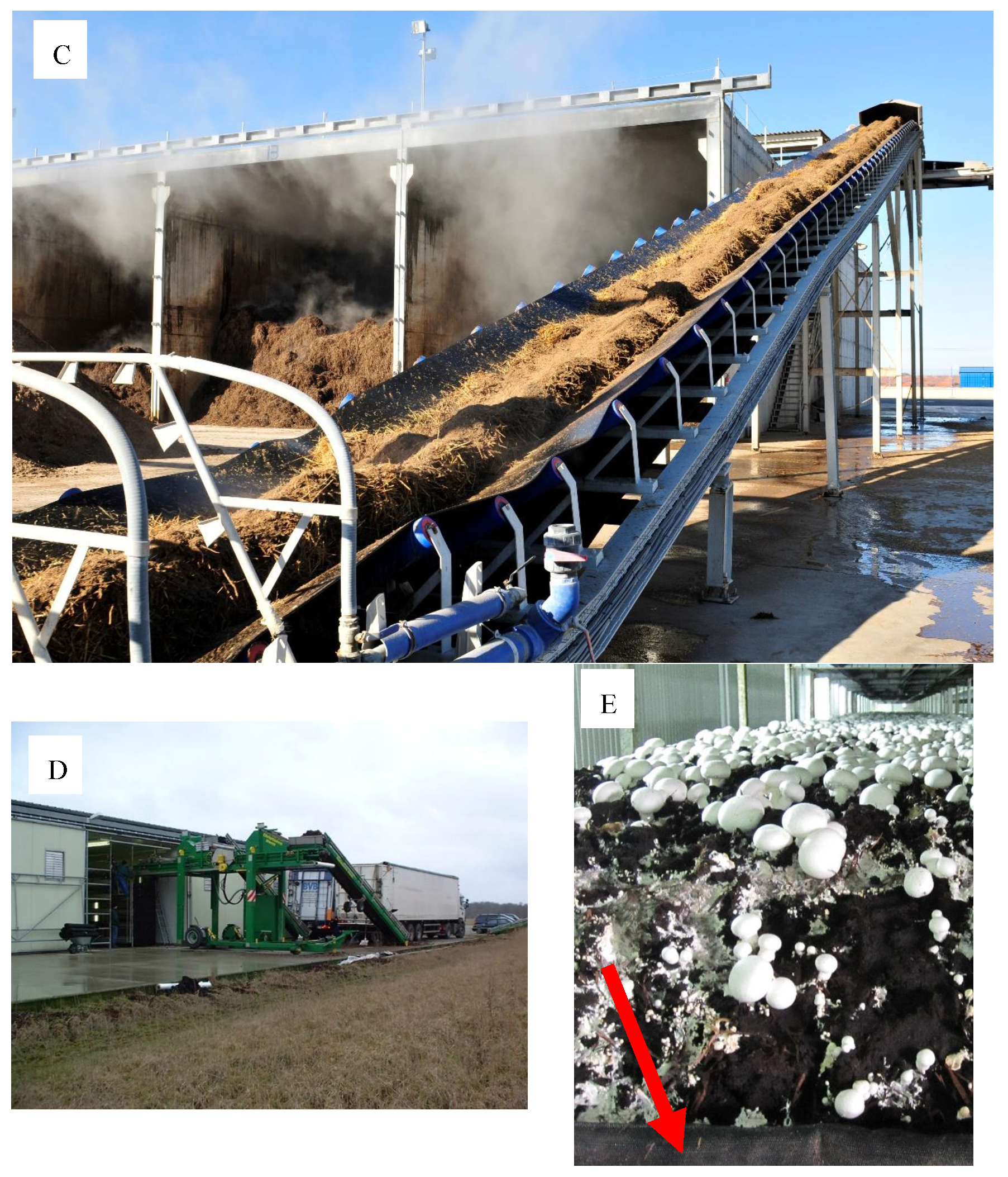 Agronomy 10 01239 g004b