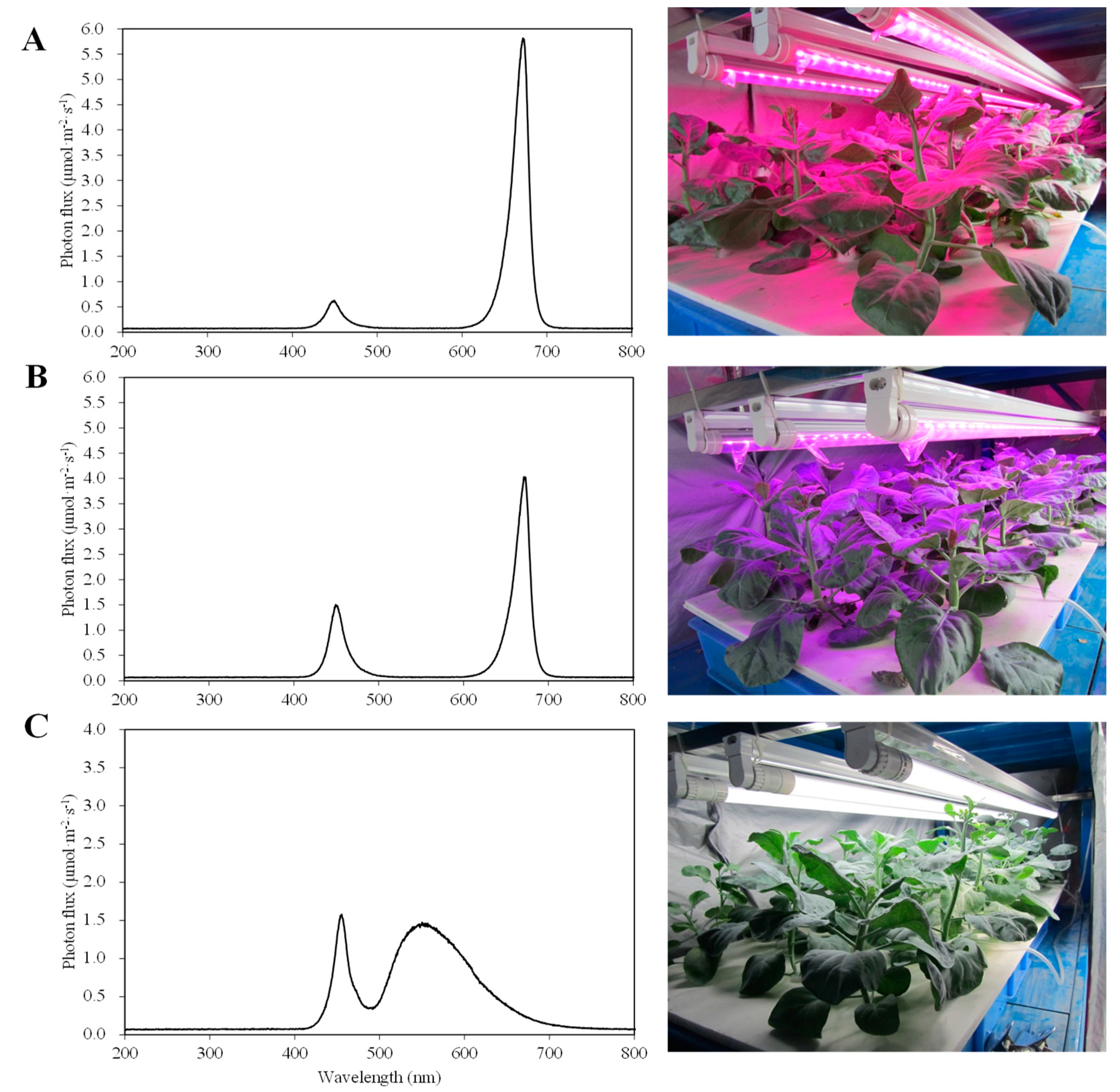 Agronomy 10 01248 g001 Agronomy 10 01248 g001