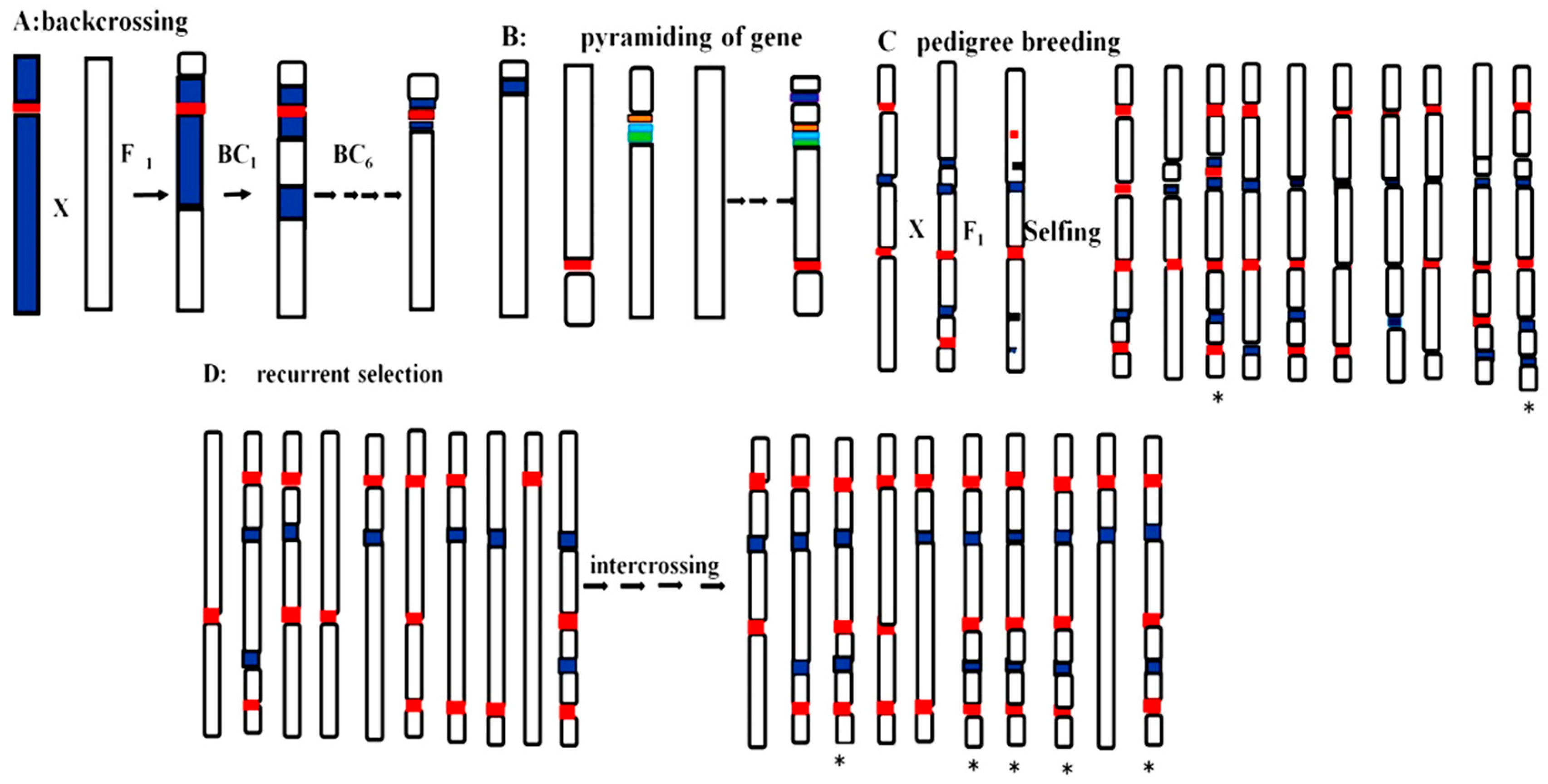 Agronomy 10 01255 g002 Agronomy 10 01255 g002