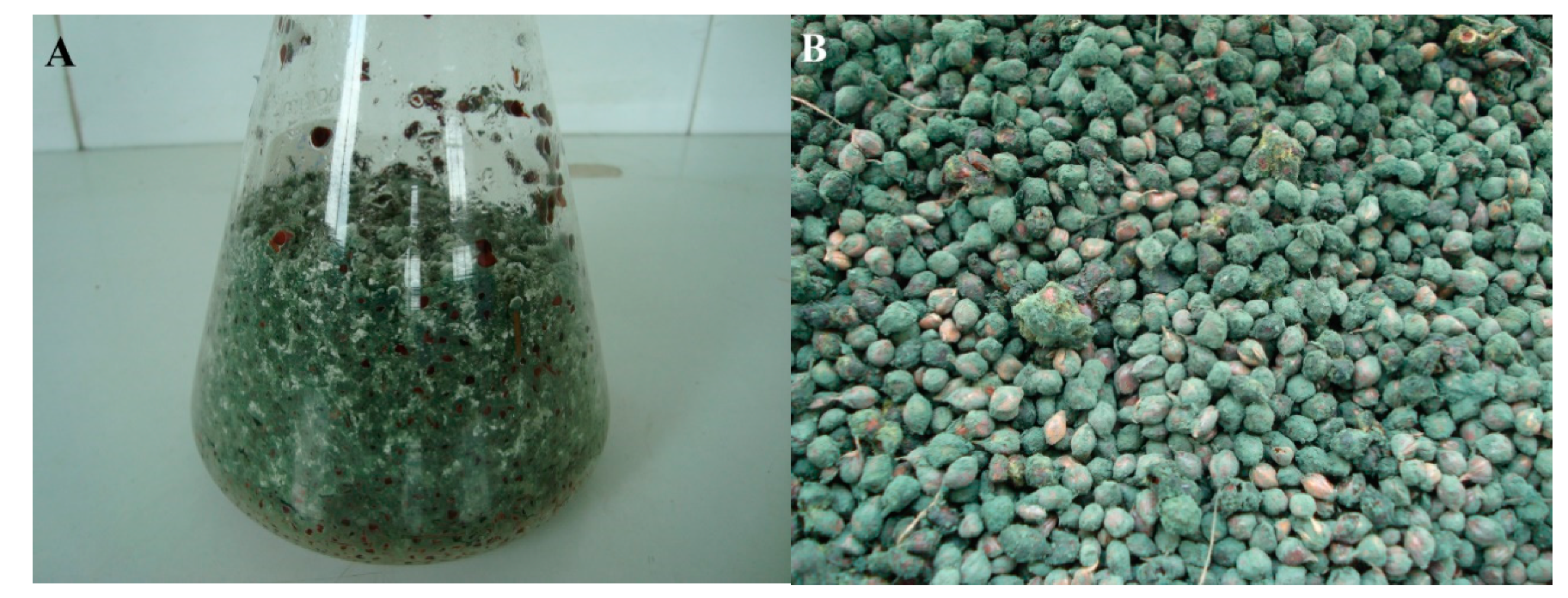 Agronomy 10 01258 g001 Agronomy 10 01258 g001