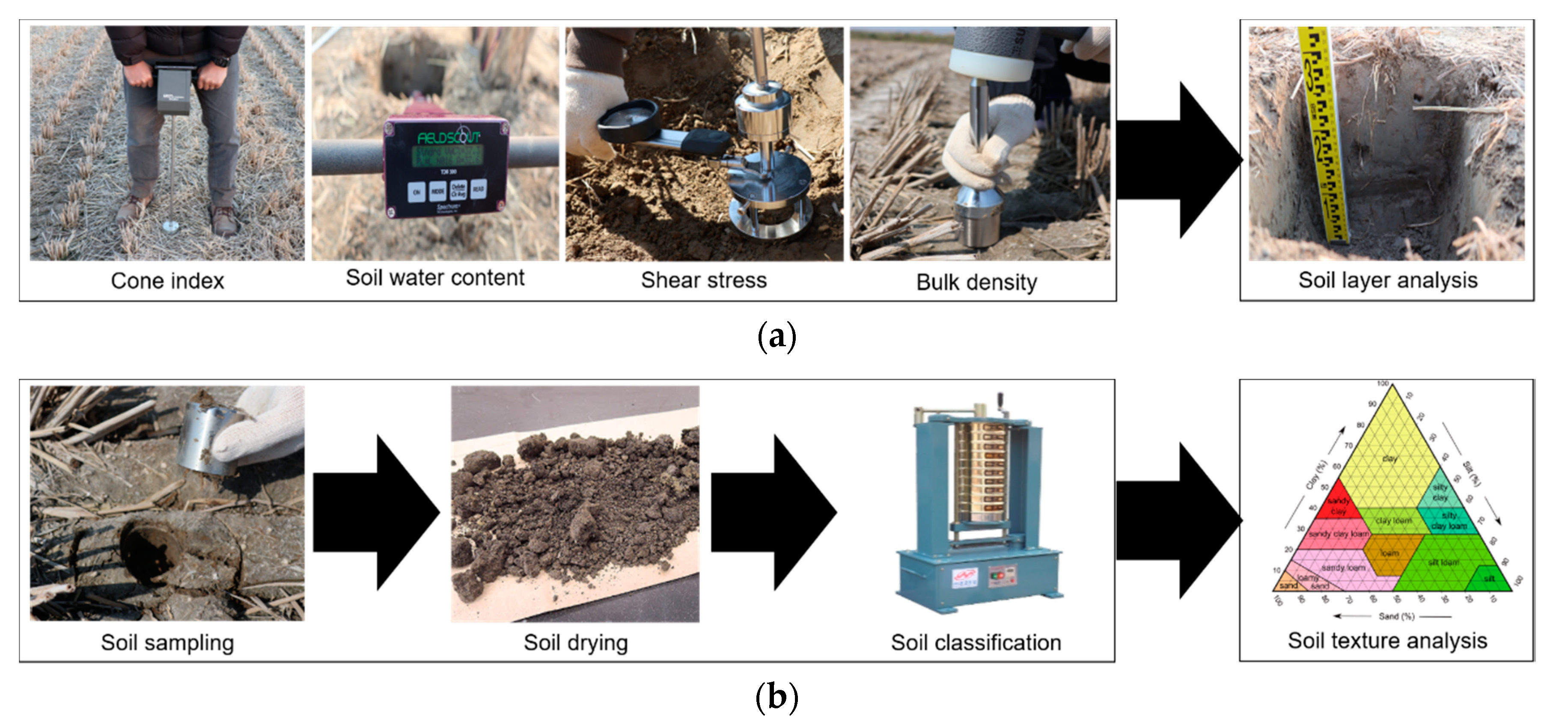 Agronomy 10 01263 g002