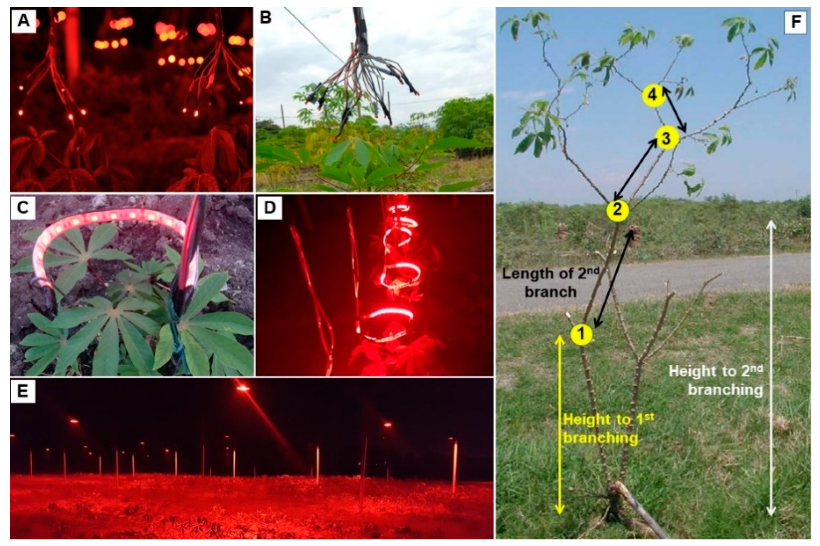 Agronomy 10 01273 g001 Agronomy 10 01273 g001