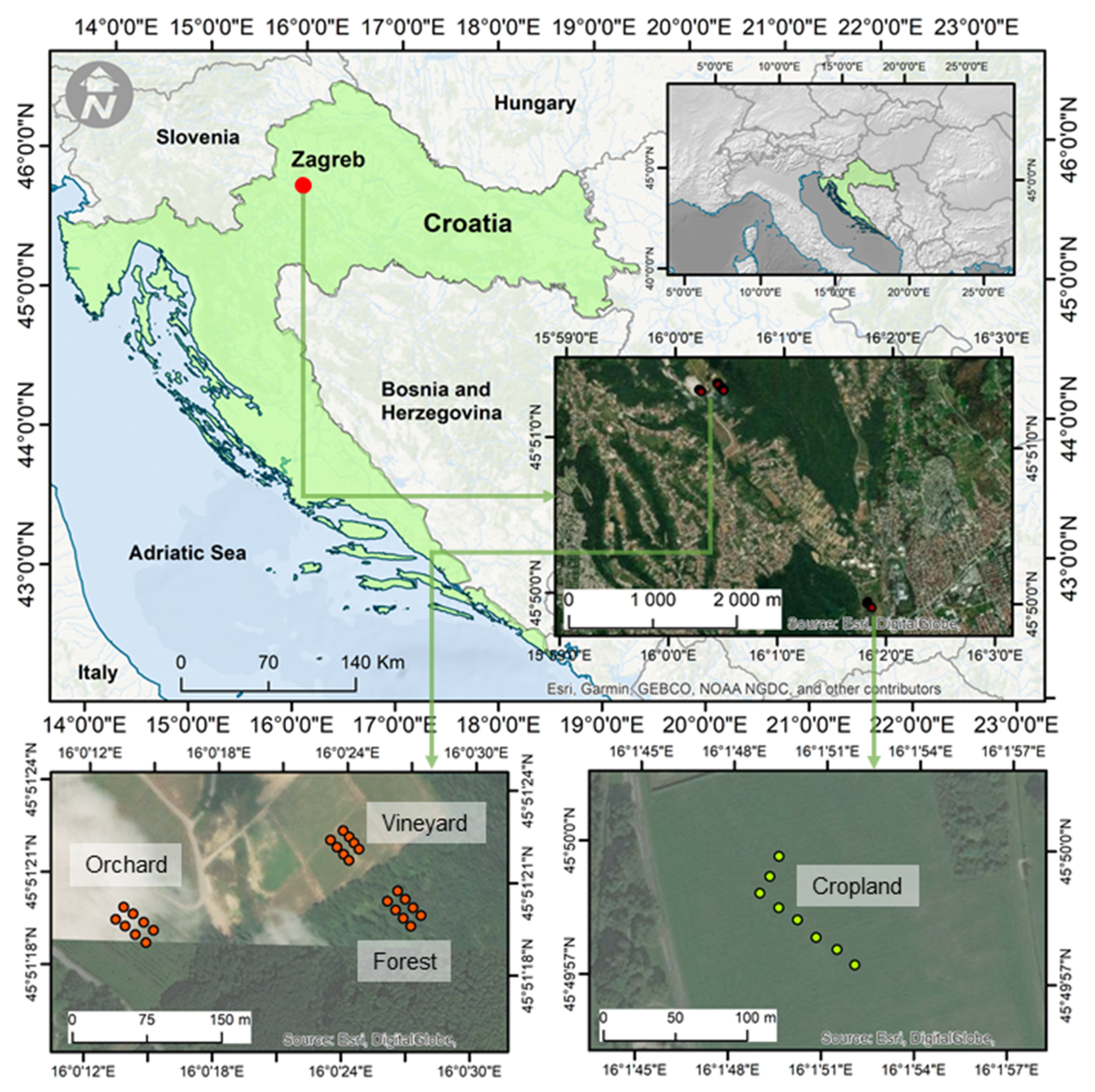 Agronomy 10 01331 g001 Agronomy 10 01331 g001